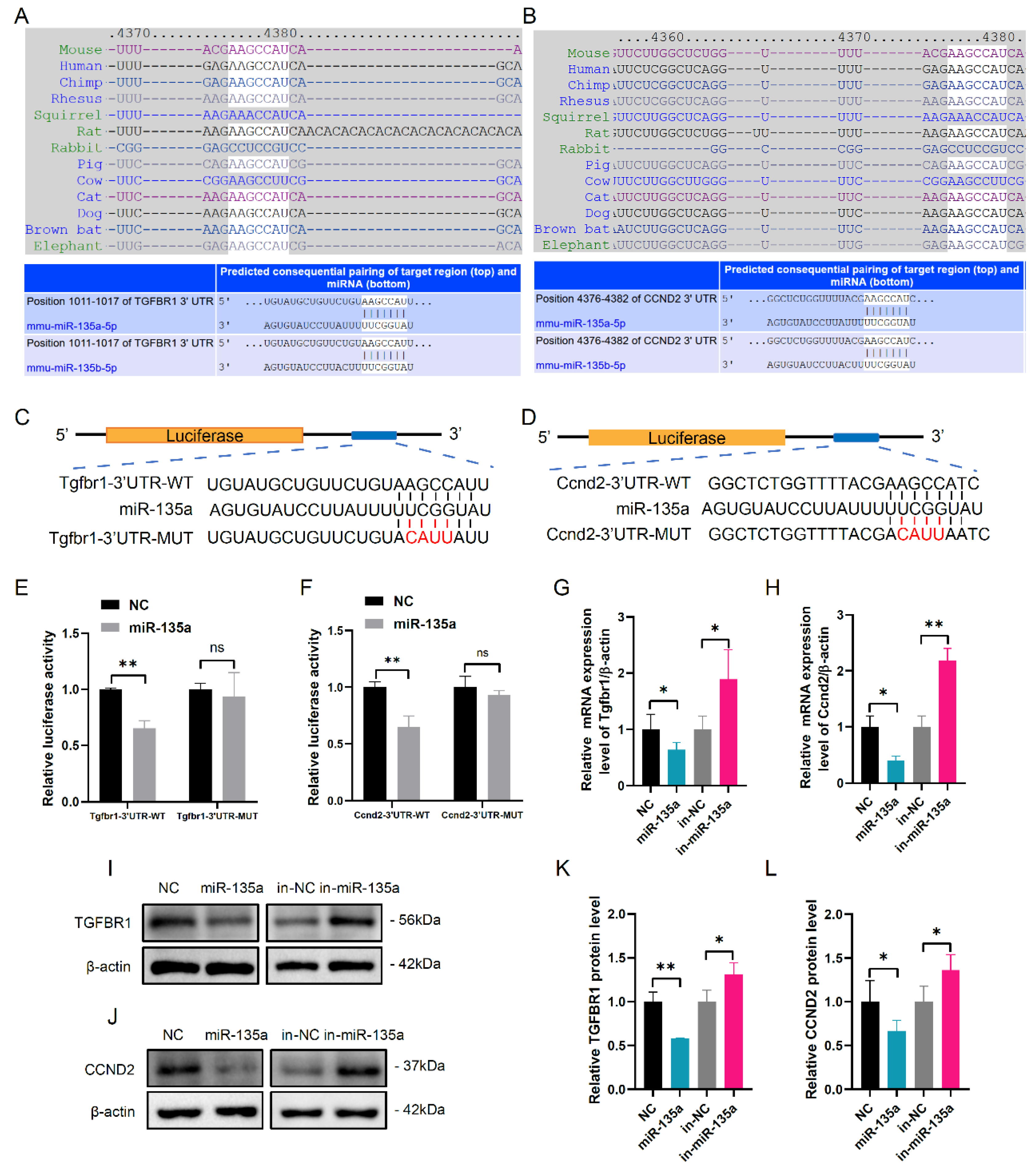 Cells 10 02104 g002 550