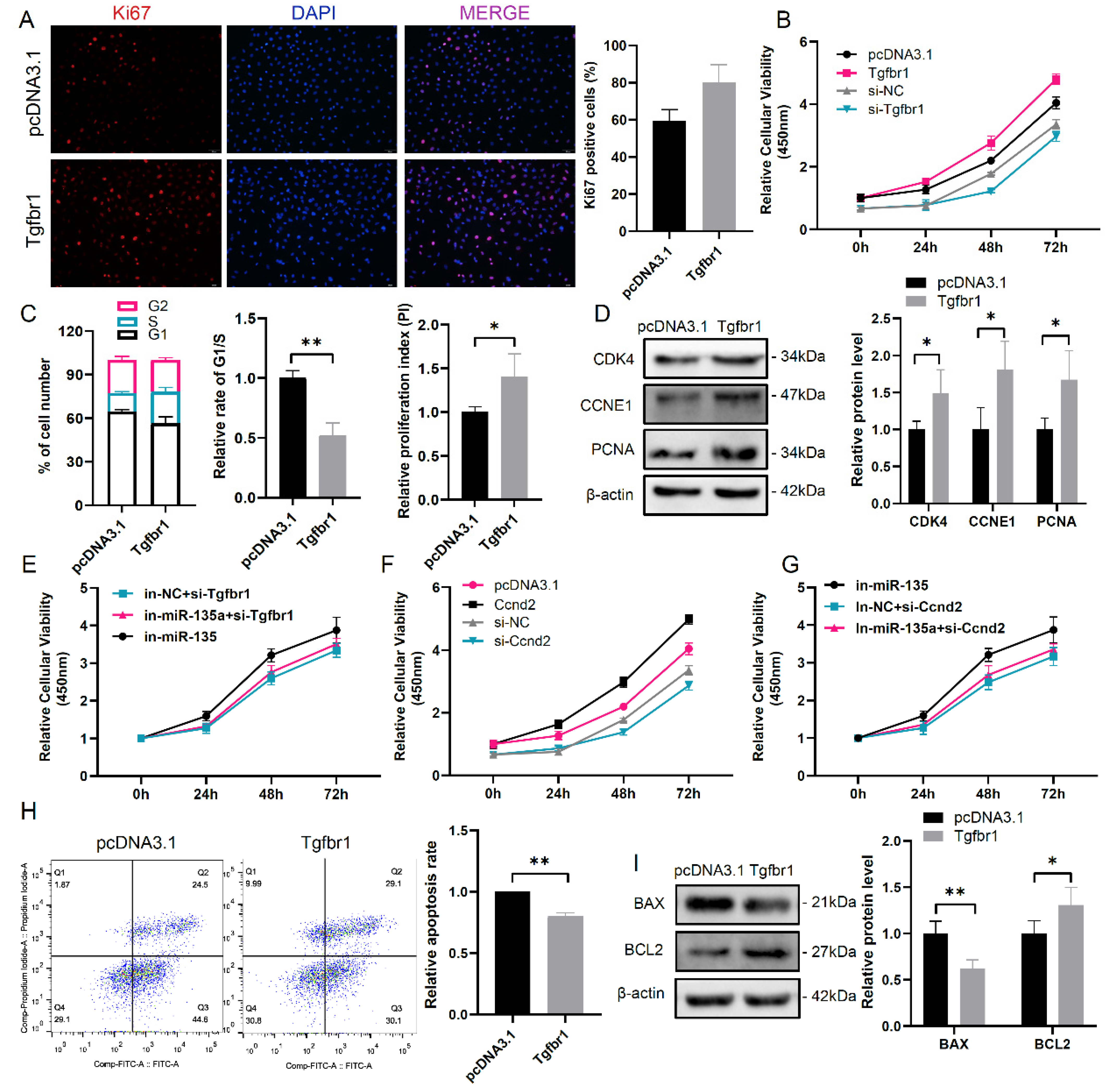 Cells 10 02104 g003 550
