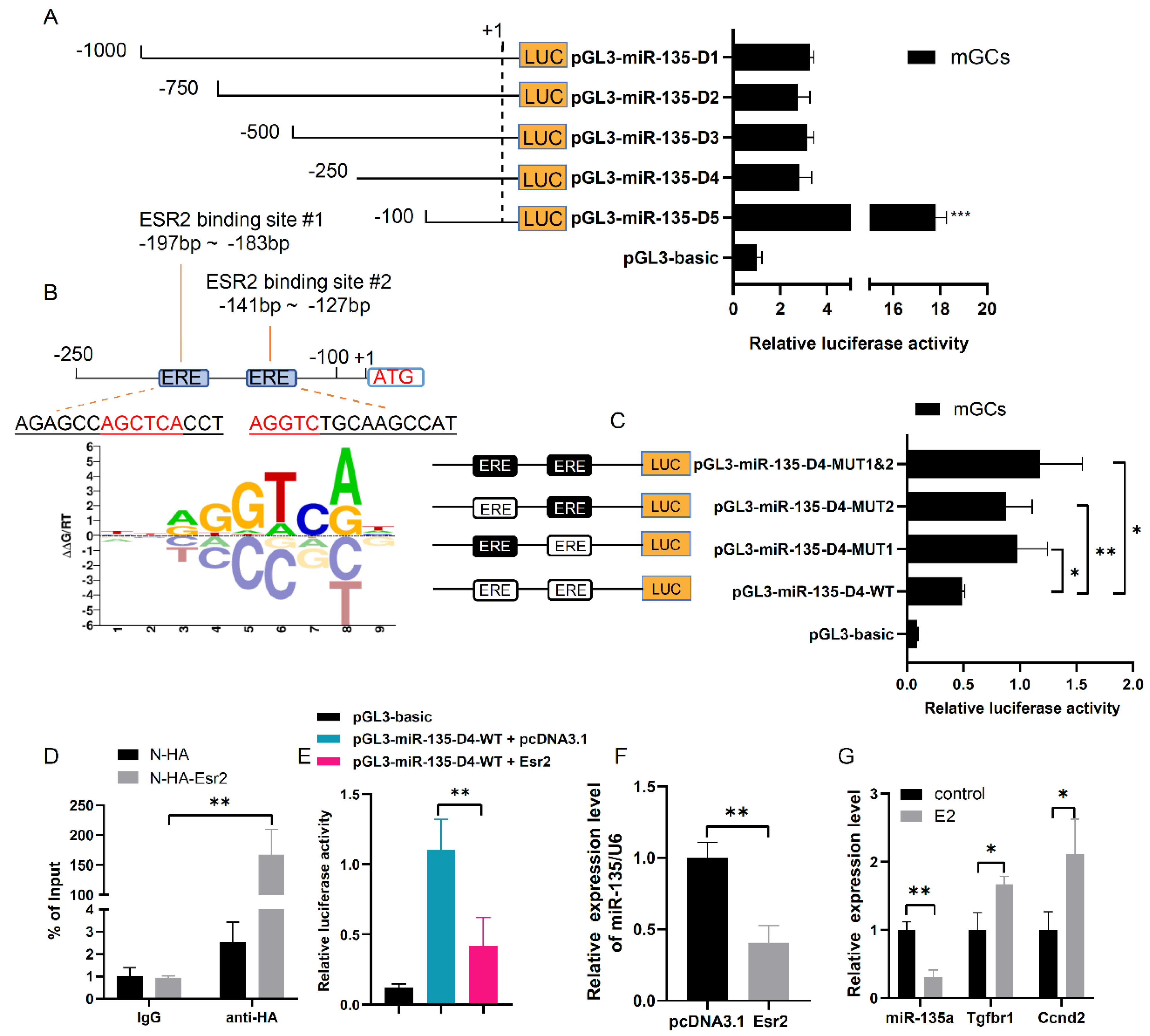 Cells 10 02104 g005 550