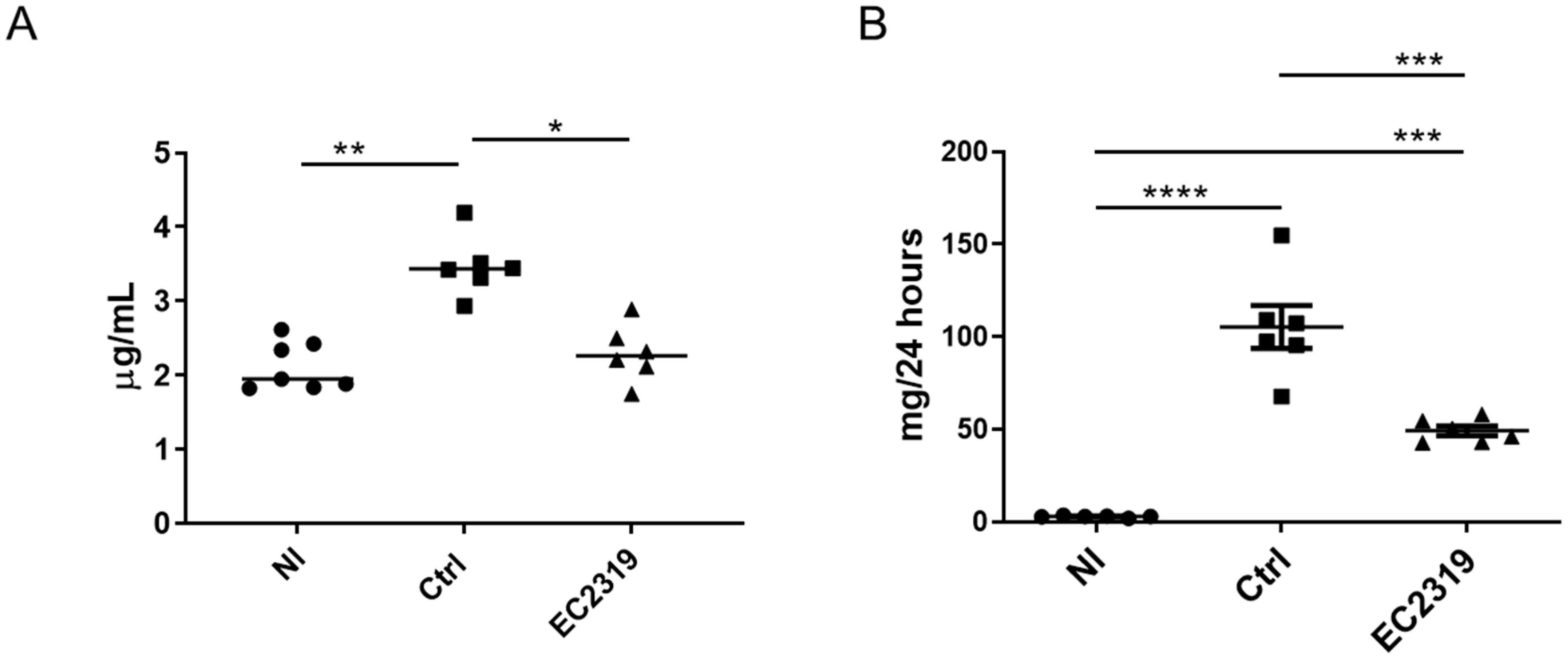 Cells 10 02113 g003 Cells 10 02113 g003