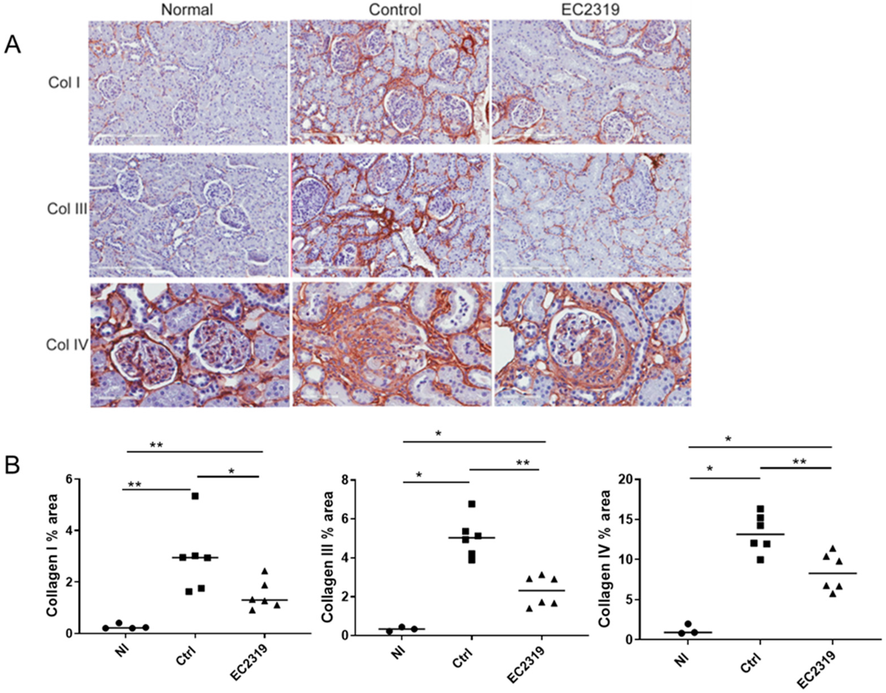 Cells 10 02113 g005 Cells 10 02113 g005