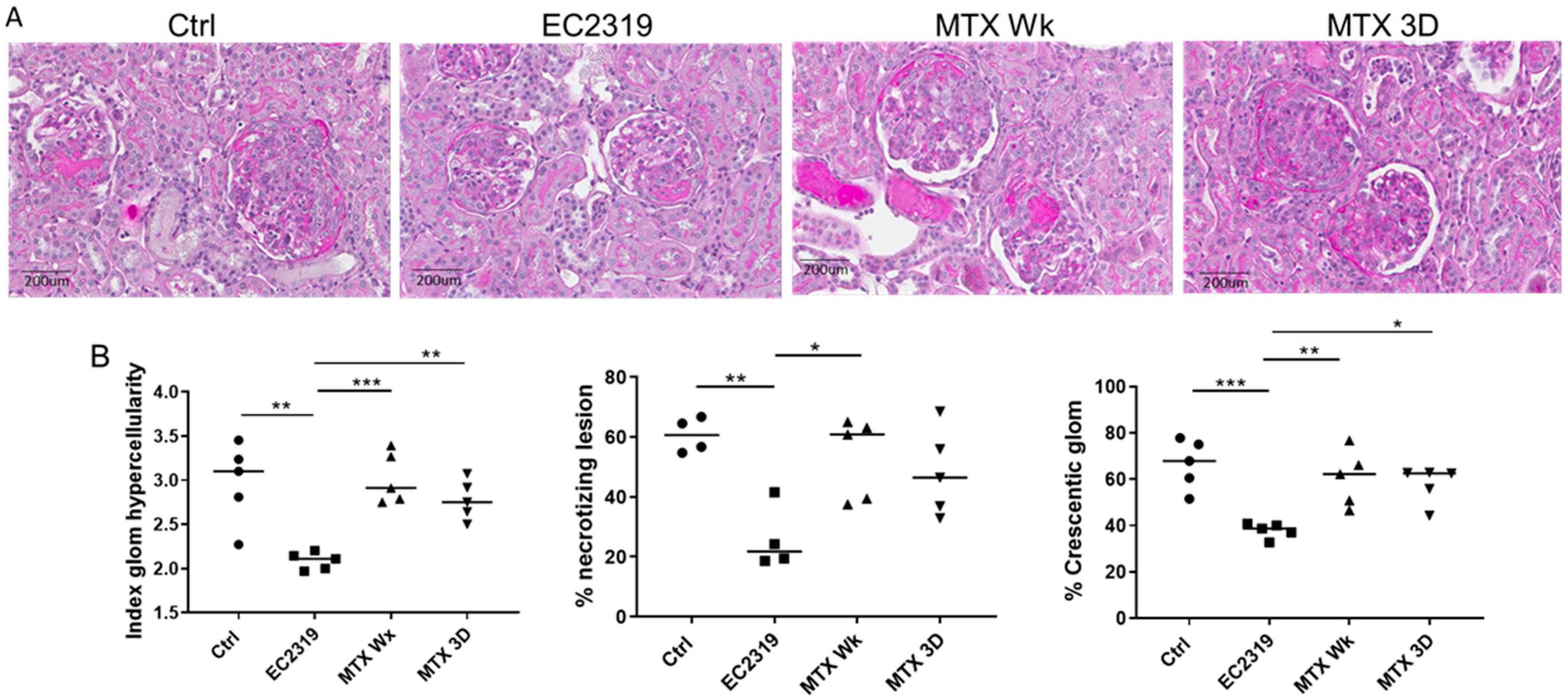 Cells 10 02113 g008 Cells 10 02113 g008