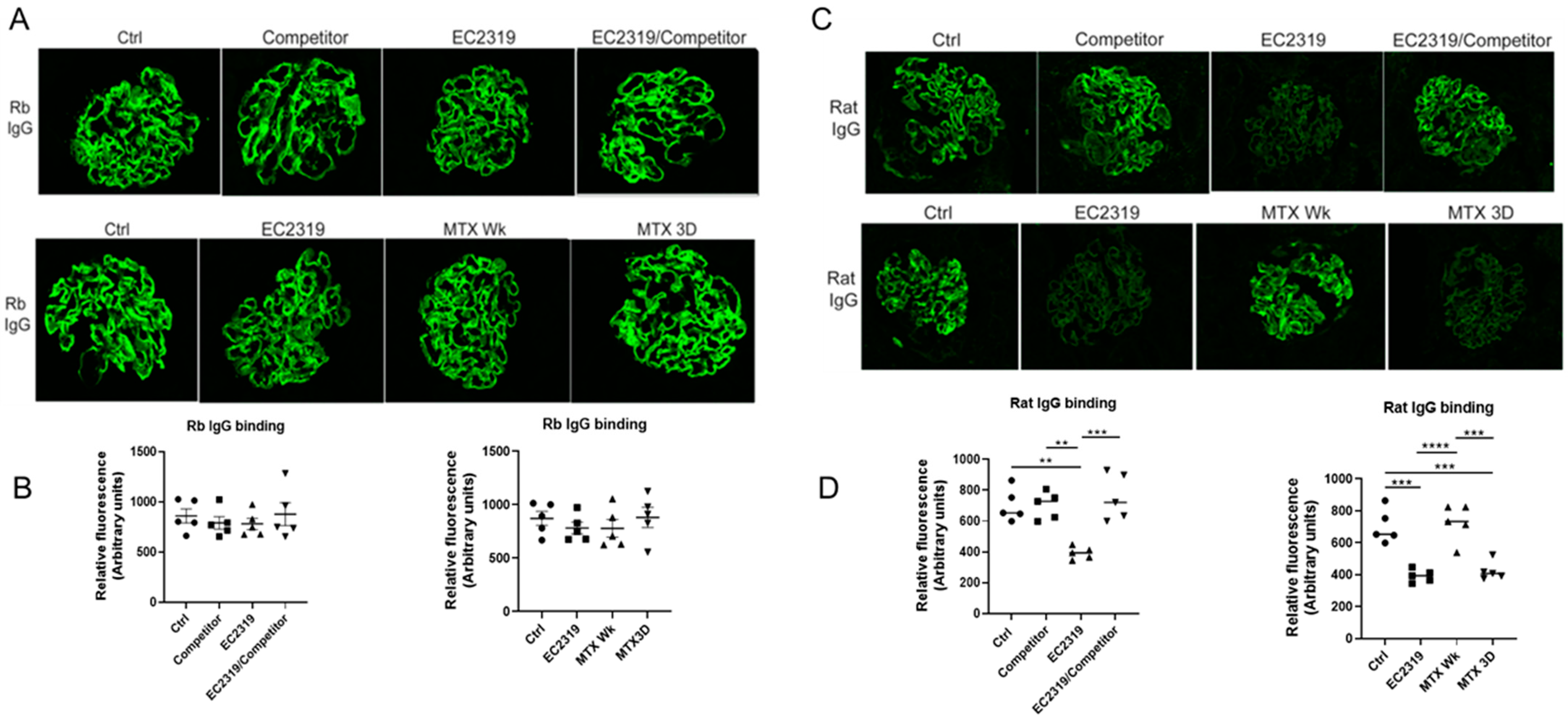 Cells 10 02113 g010 Cells 10 02113 g010