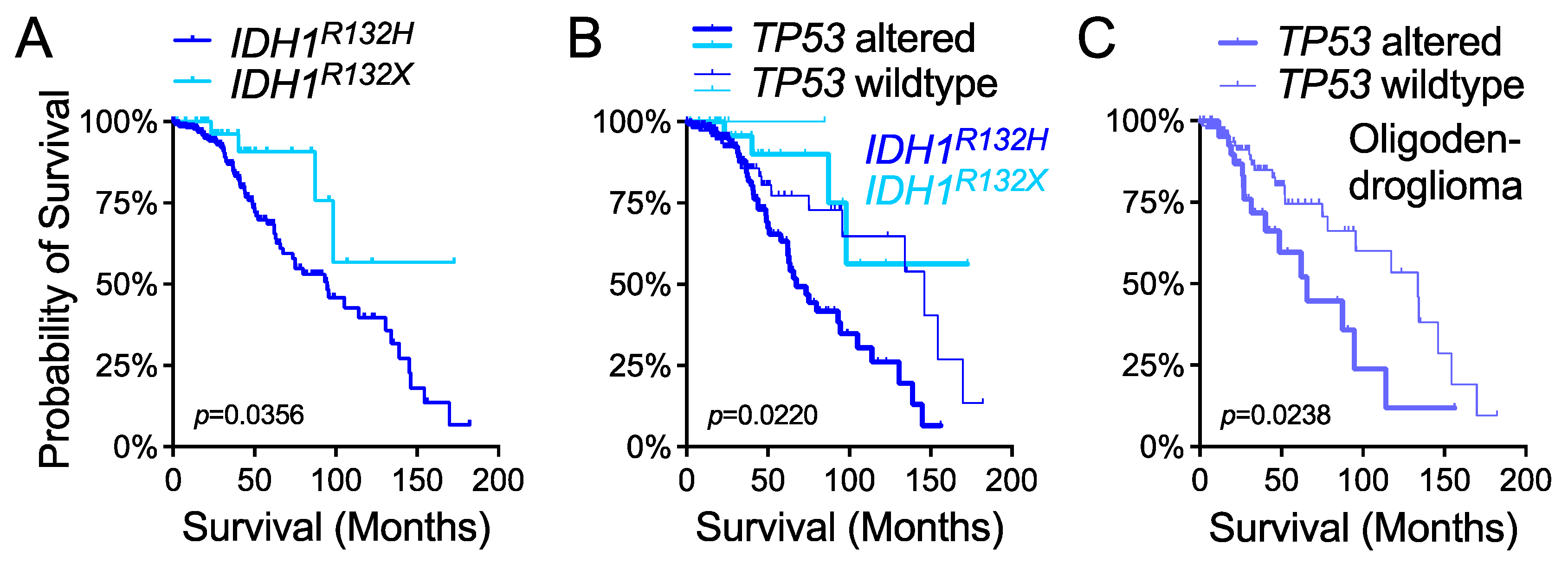 Cells 10 02116 g005 550