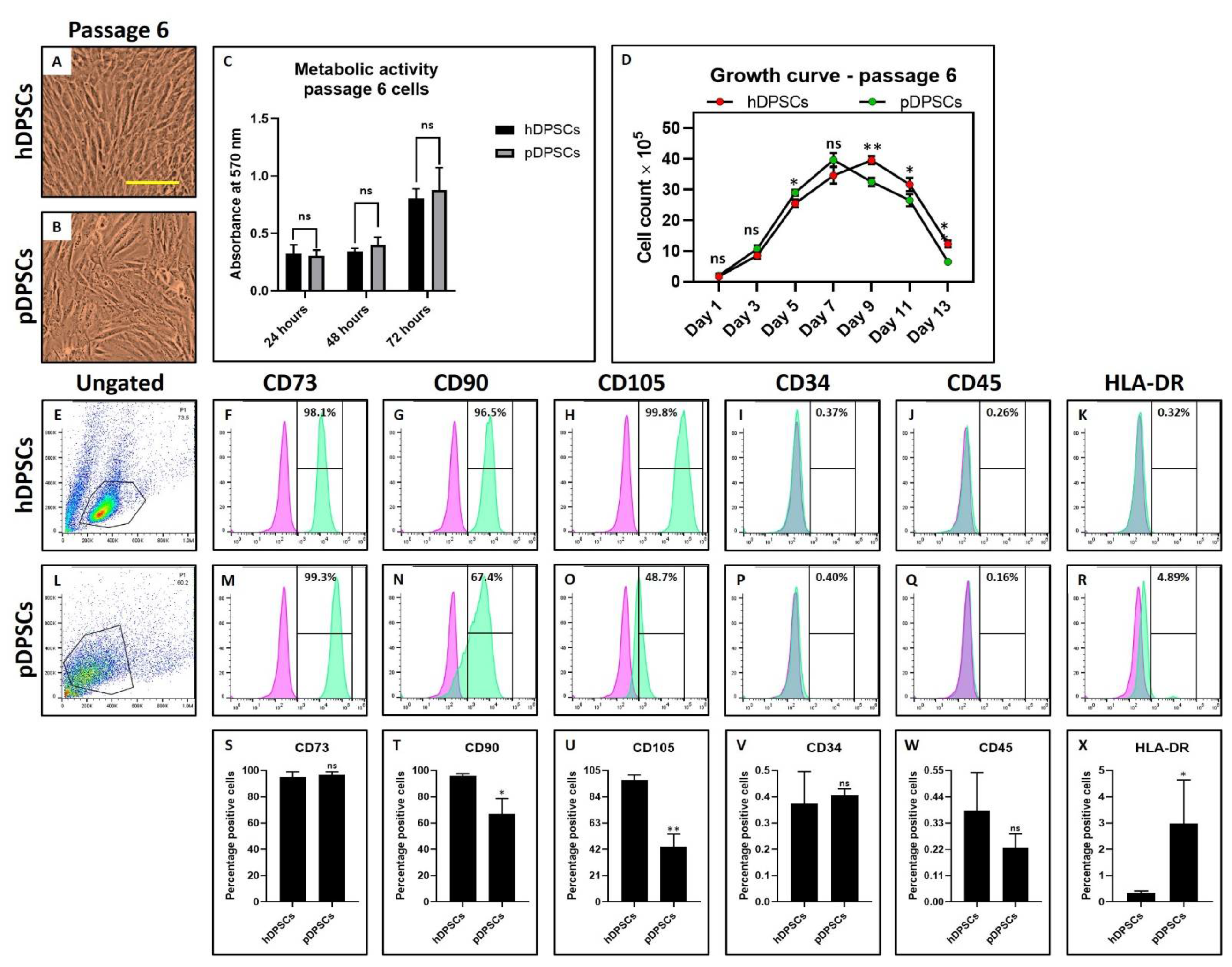 Cells 10 02118 g003 550