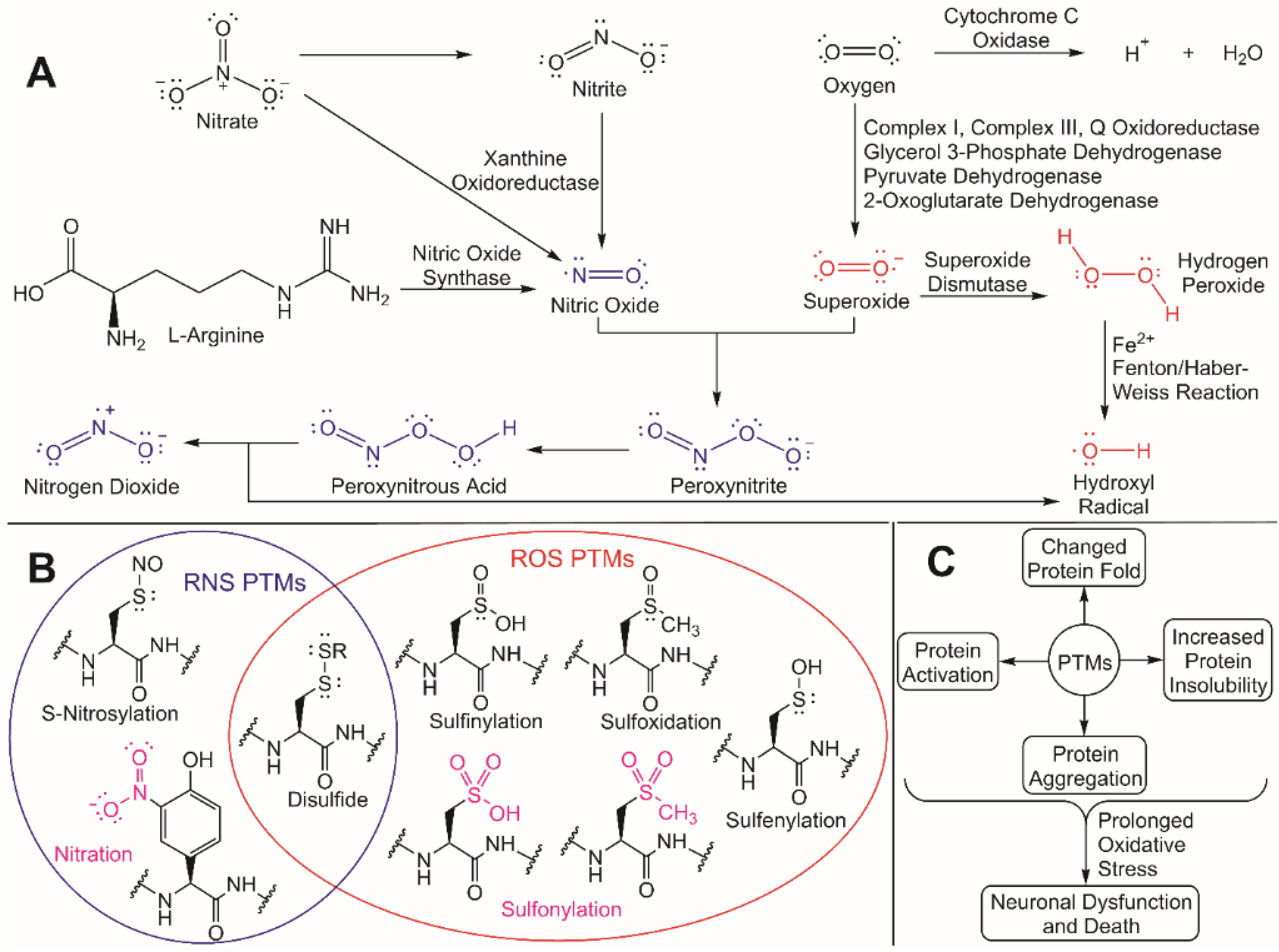 Cells 10 02121 g002 Cells 10 02121 g002