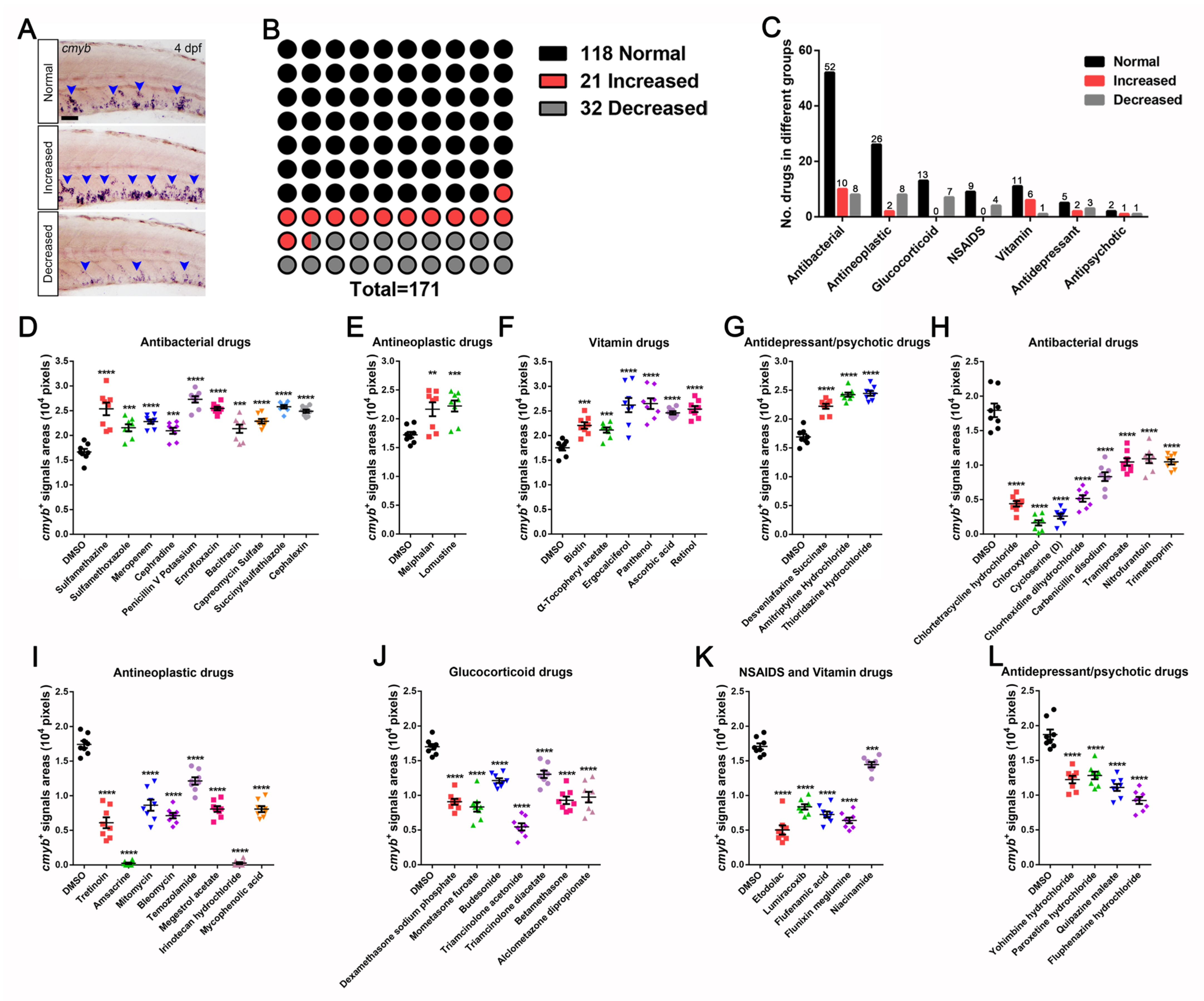 Cells 10 02149 g002 Cells 10 02149 g002