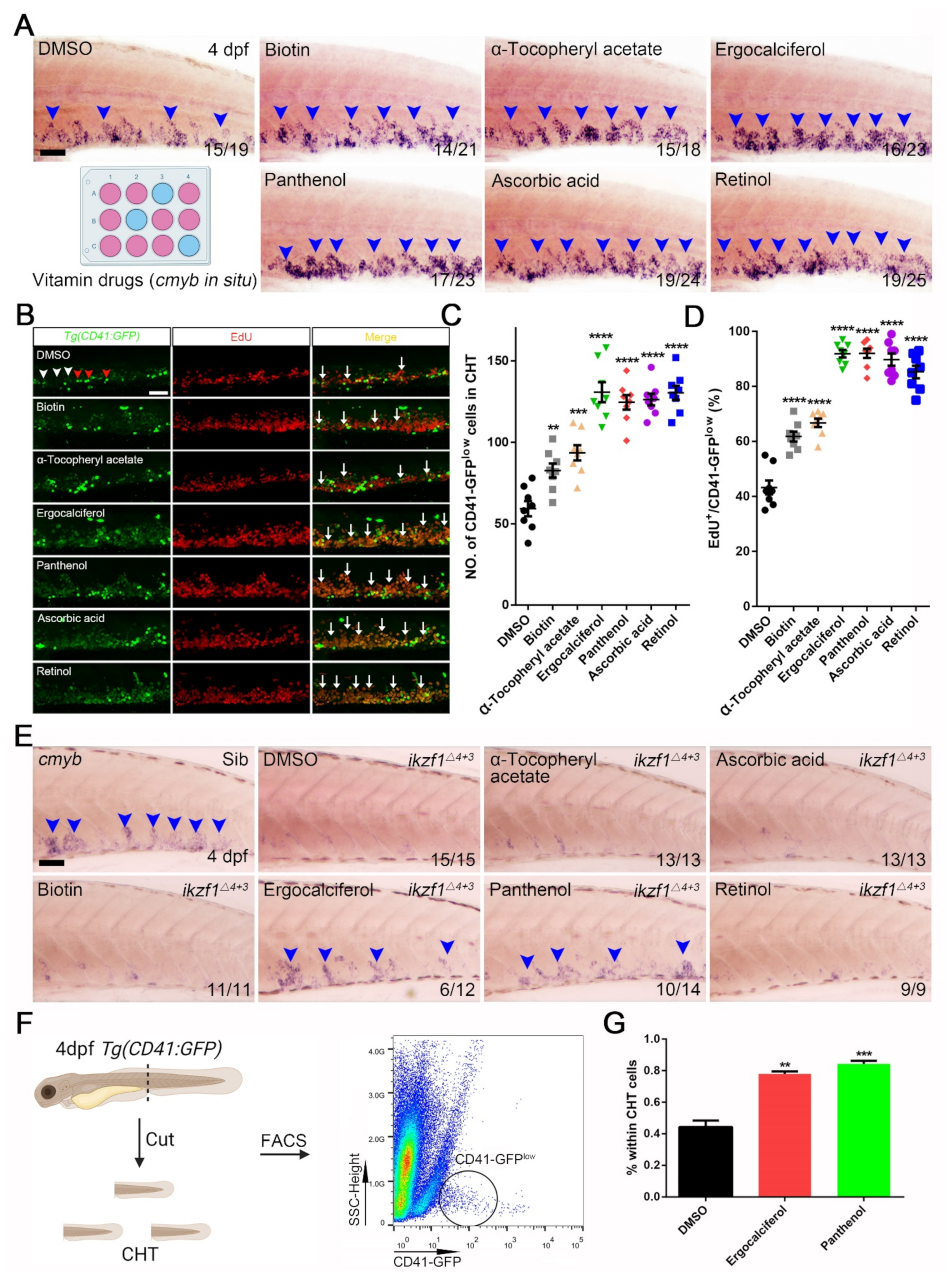 Cells 10 02149 g003 Cells 10 02149 g003
