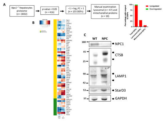 Niemann-Pick Disease, A Pipeline Analysis Report 2018