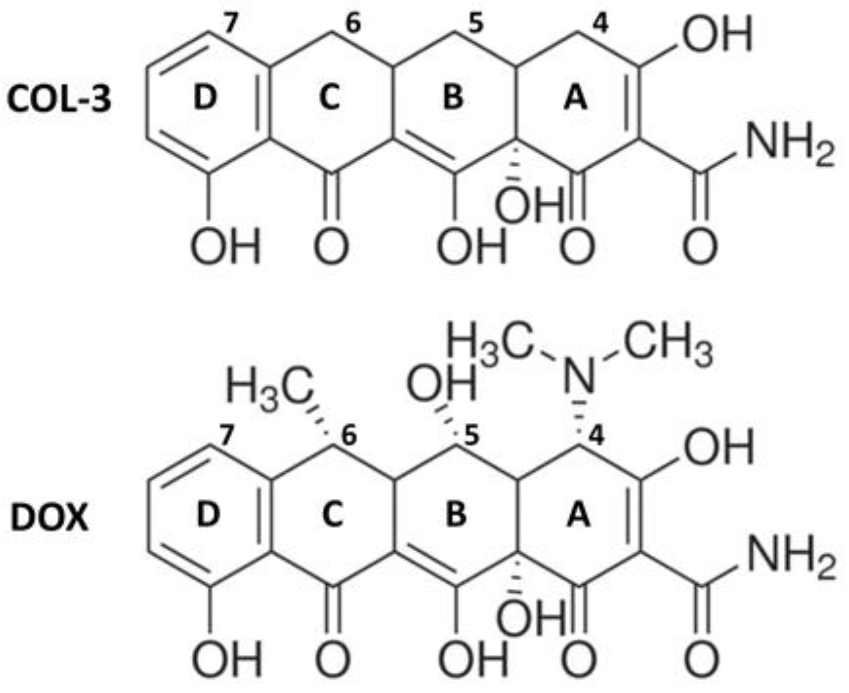 Cells 10 02163 g001 550