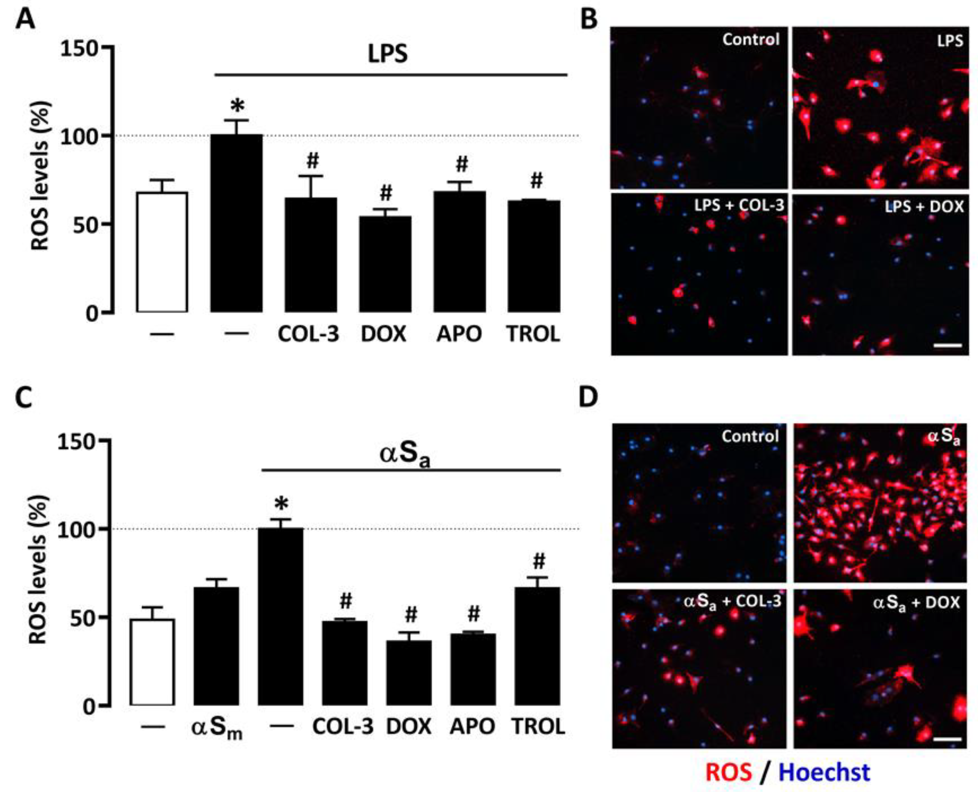 Cells 10 02163 g005 550