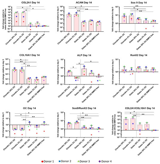 Cells | August 2021 - Browse Articles