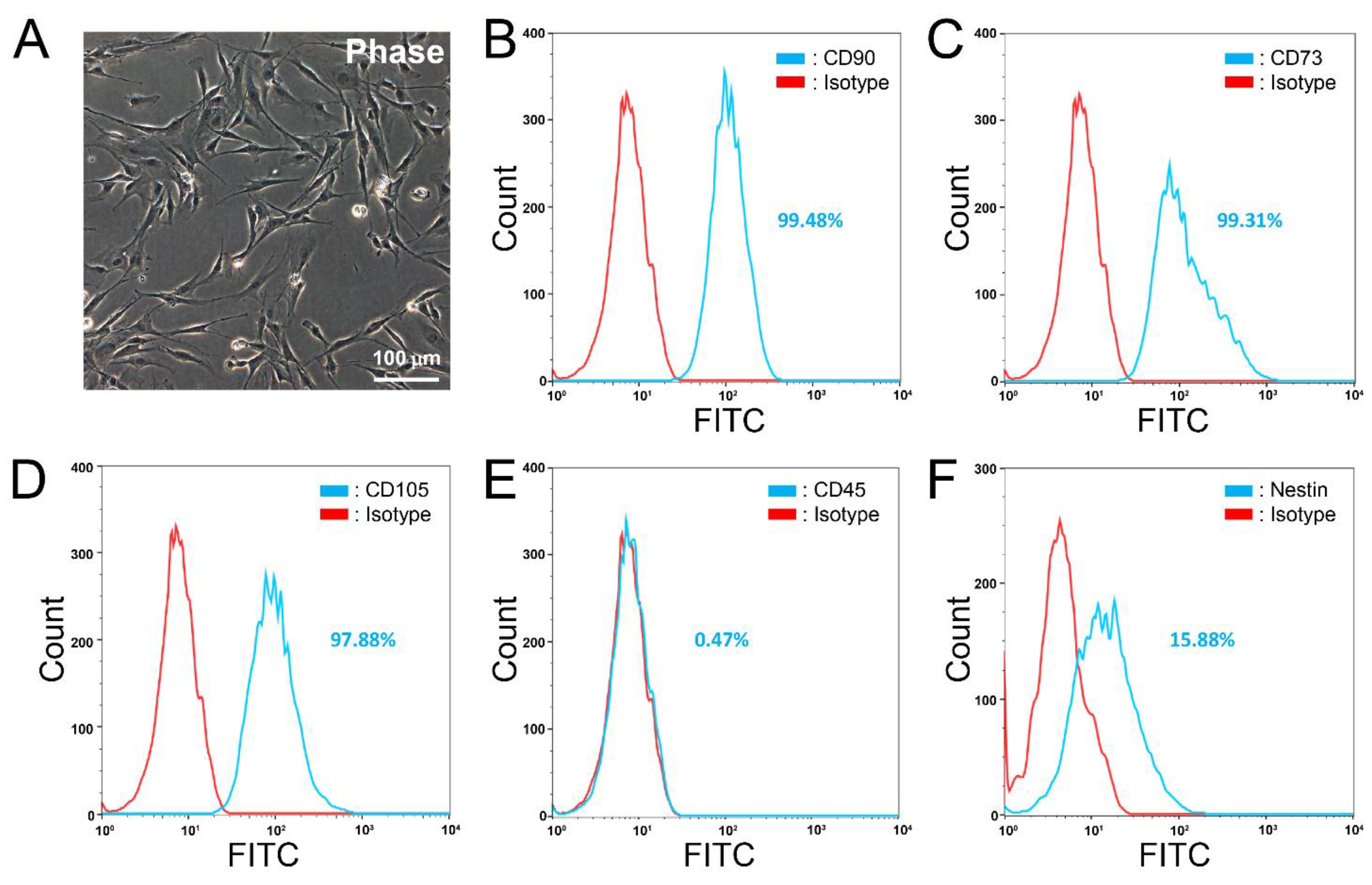 Cells 10 02166 g001 Cells 10 02166 g001