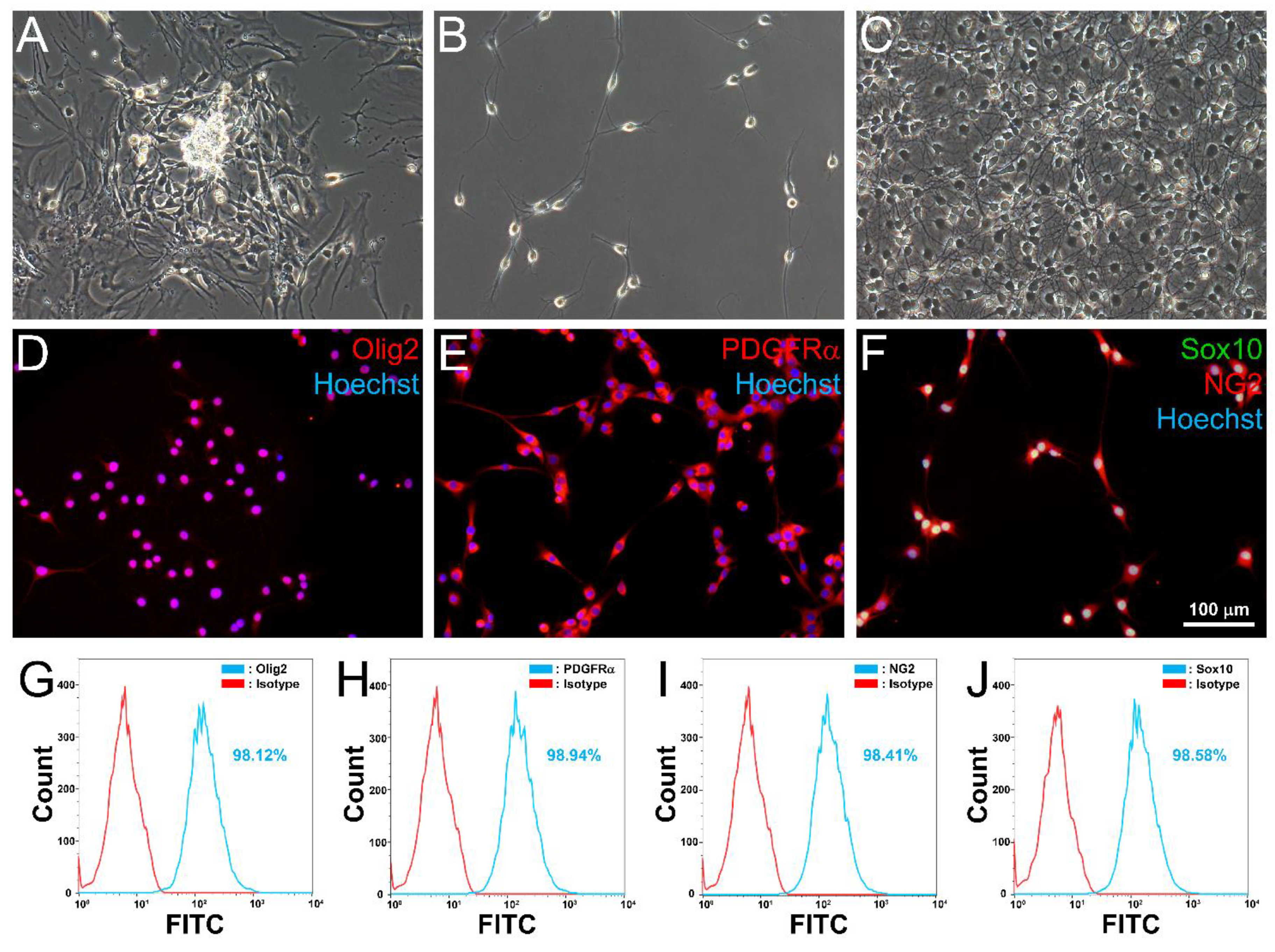 Cells 10 02166 g003 Cells 10 02166 g003