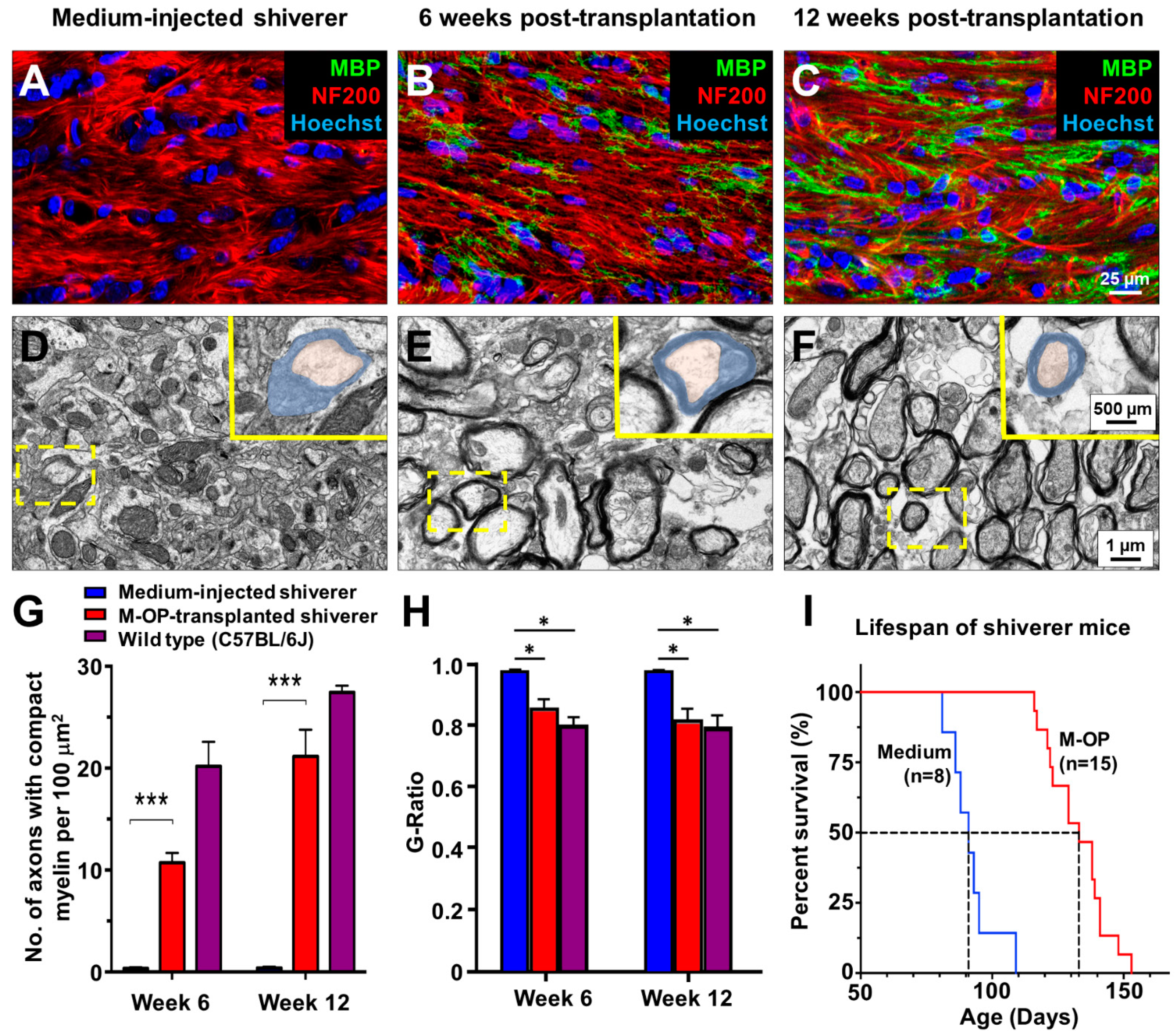 Cells 10 02166 g006 Cells 10 02166 g006