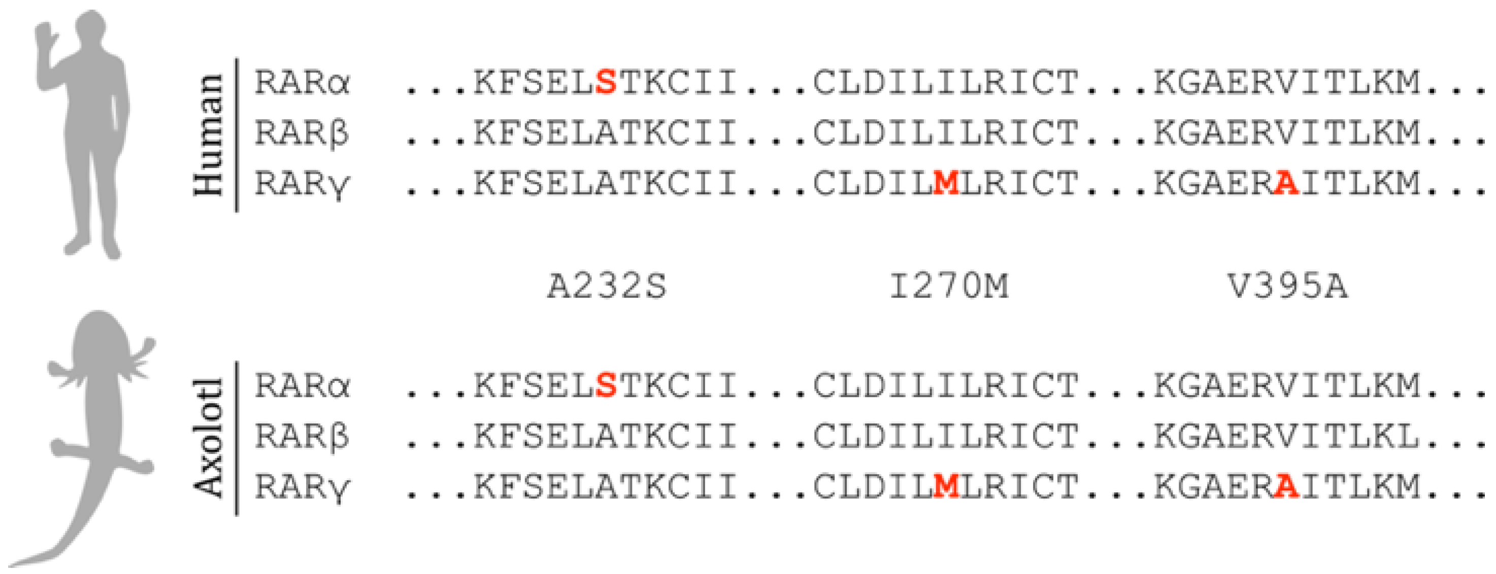 Cells 10 02174 g002 550