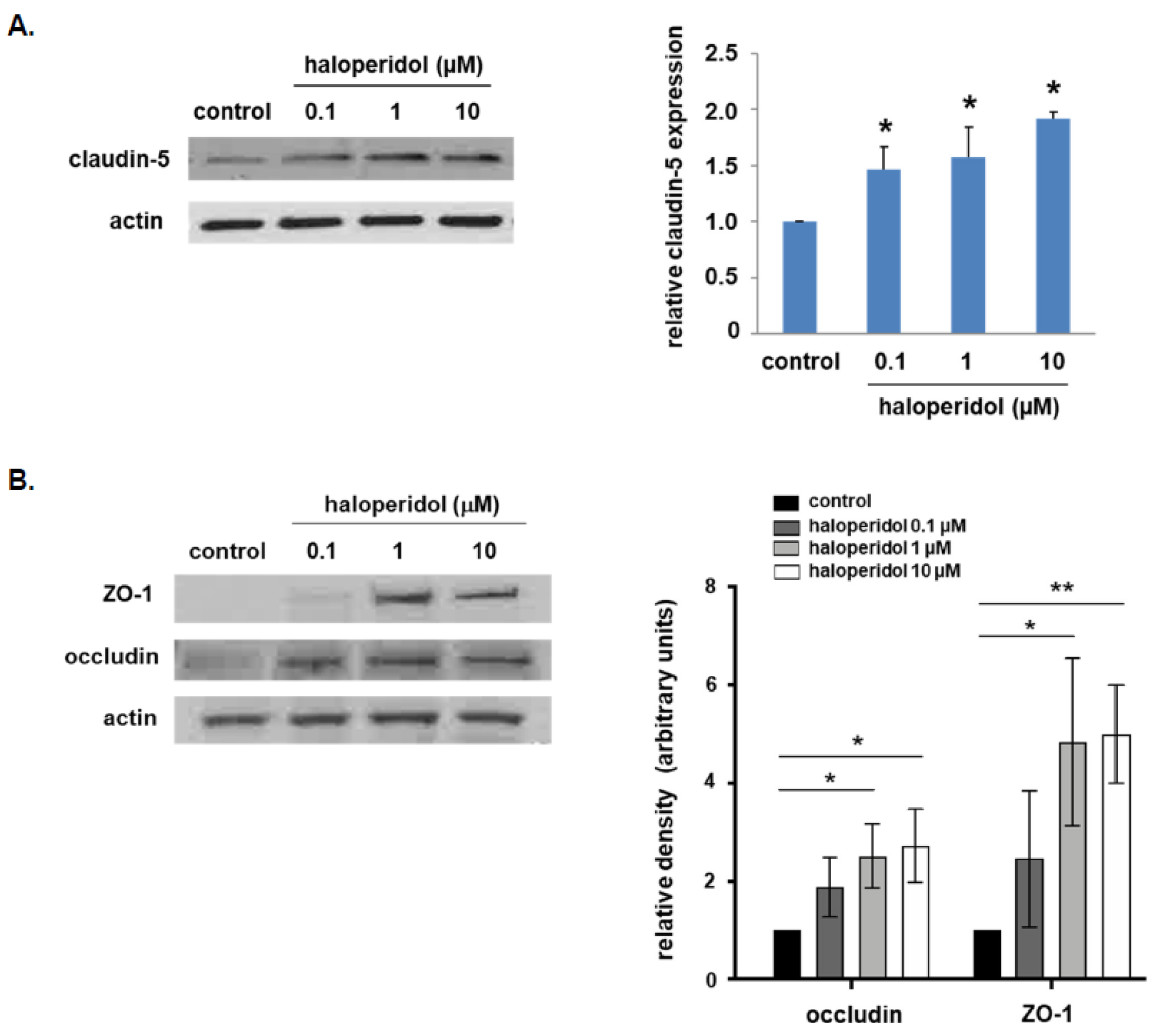 Cells 10 02186 g001 550
