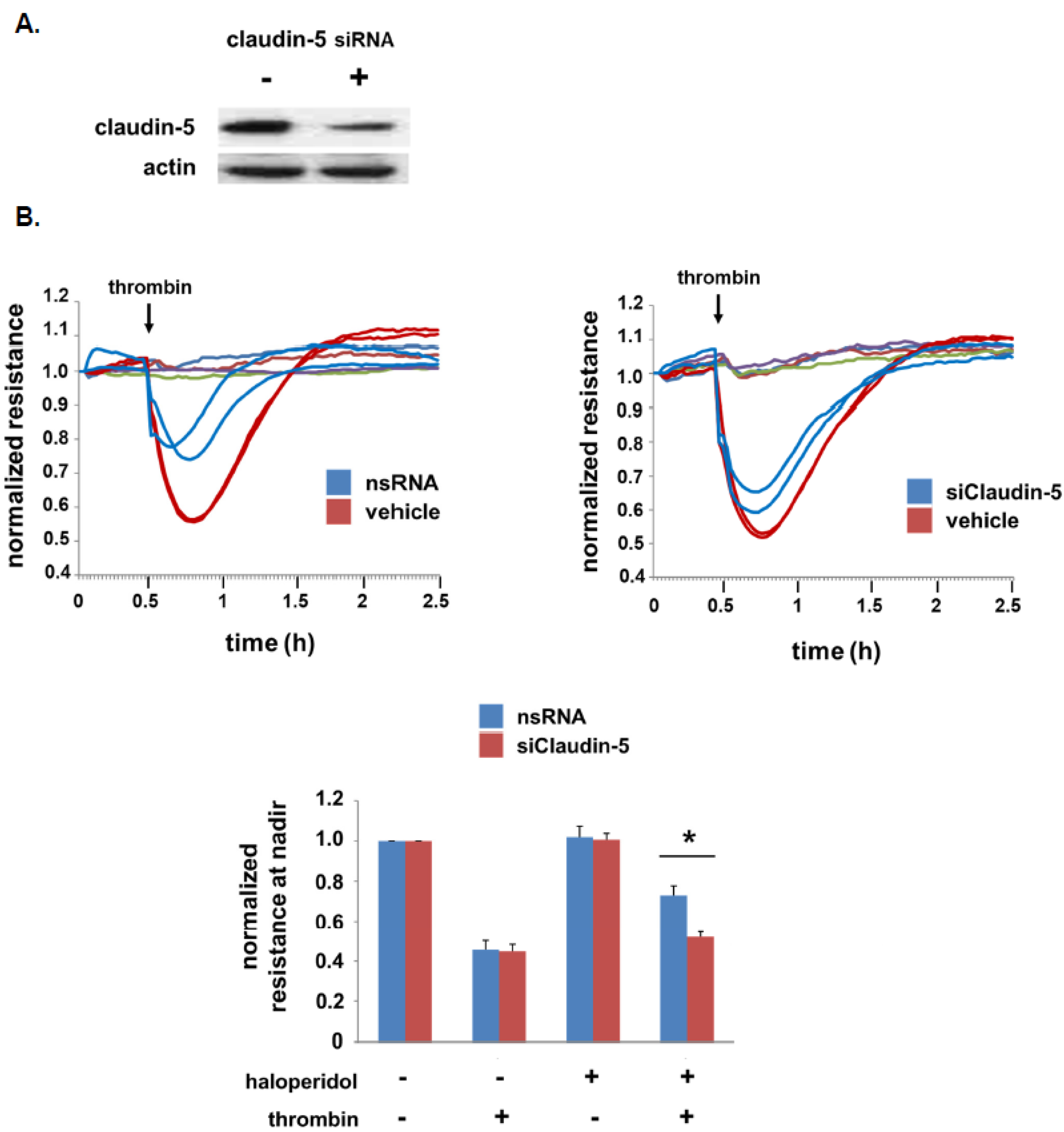 Cells 10 02186 g003 550