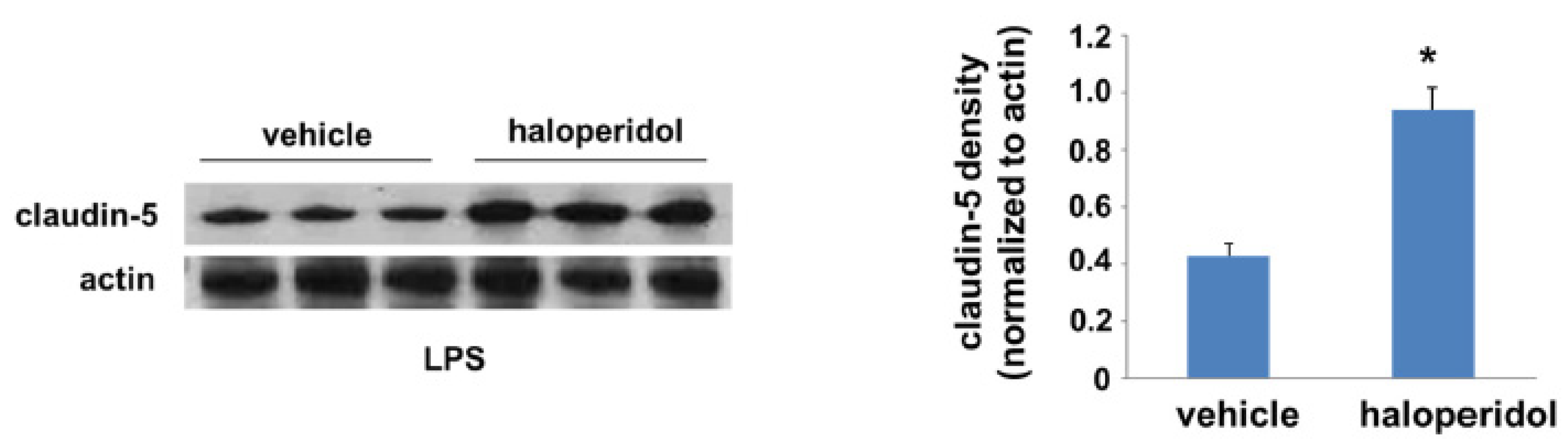 Cells 10 02186 g004 550