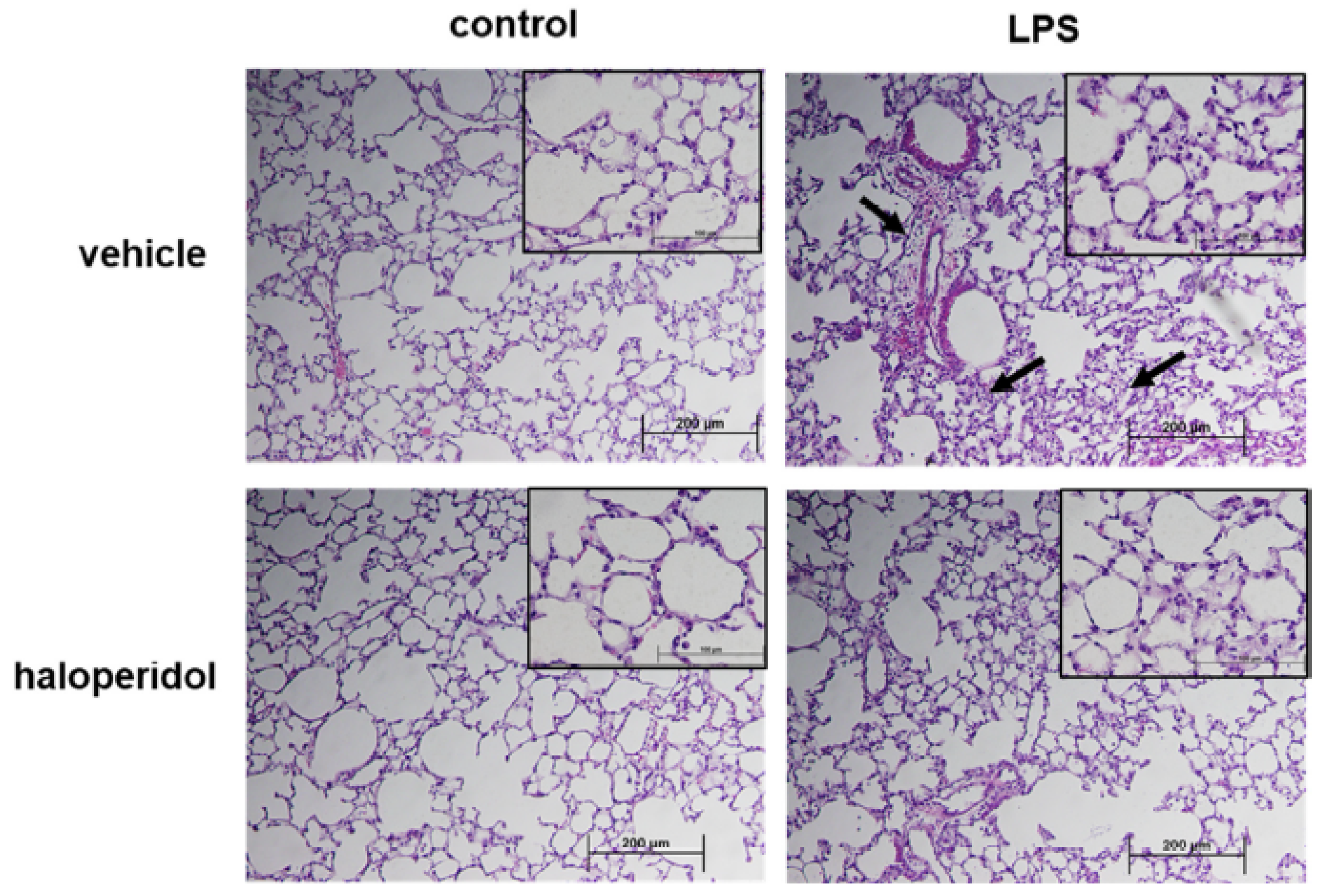Cells 10 02186 g007 550
