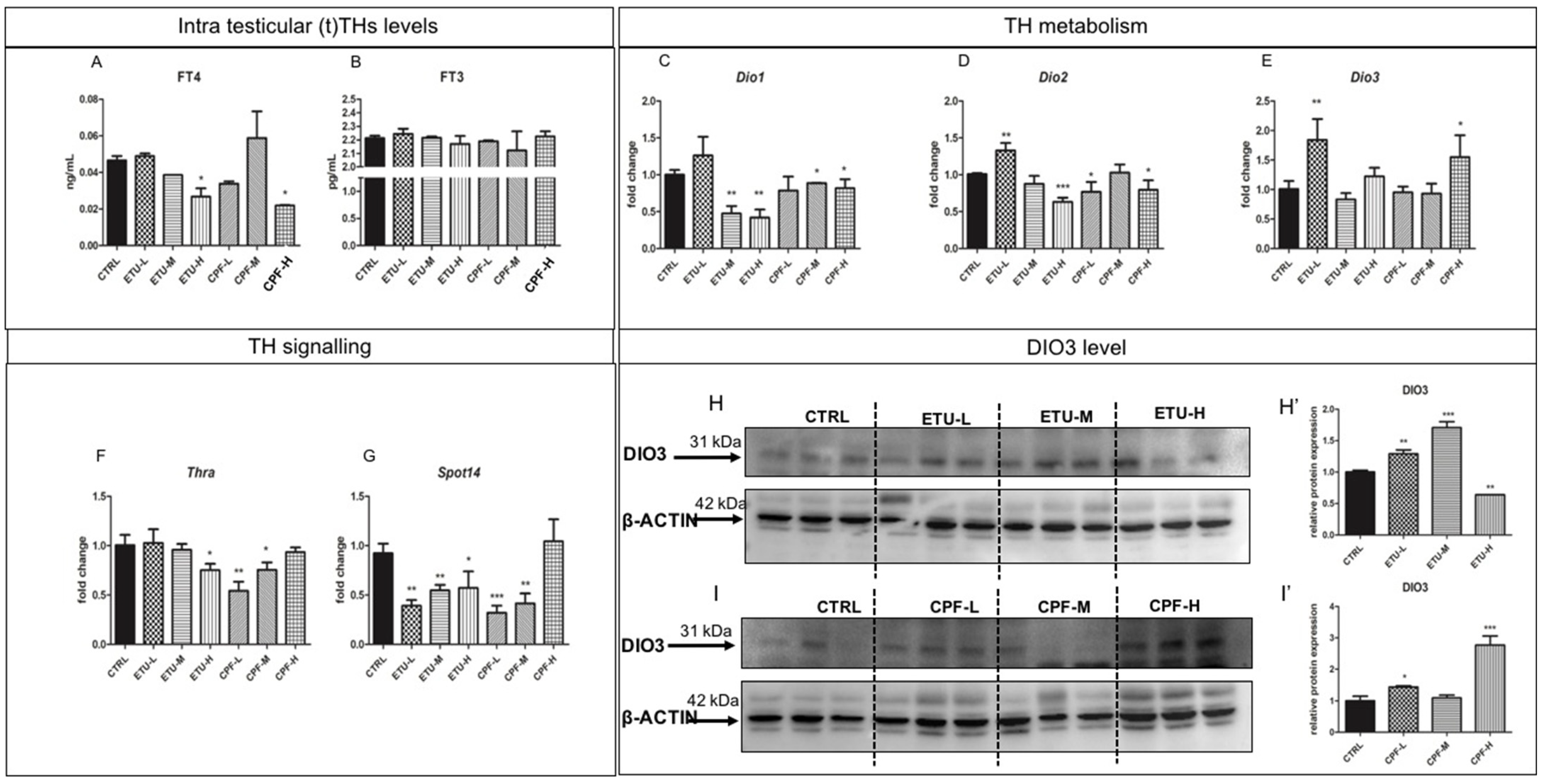 Cells 10 02187 g002 Cells 10 02187 g002