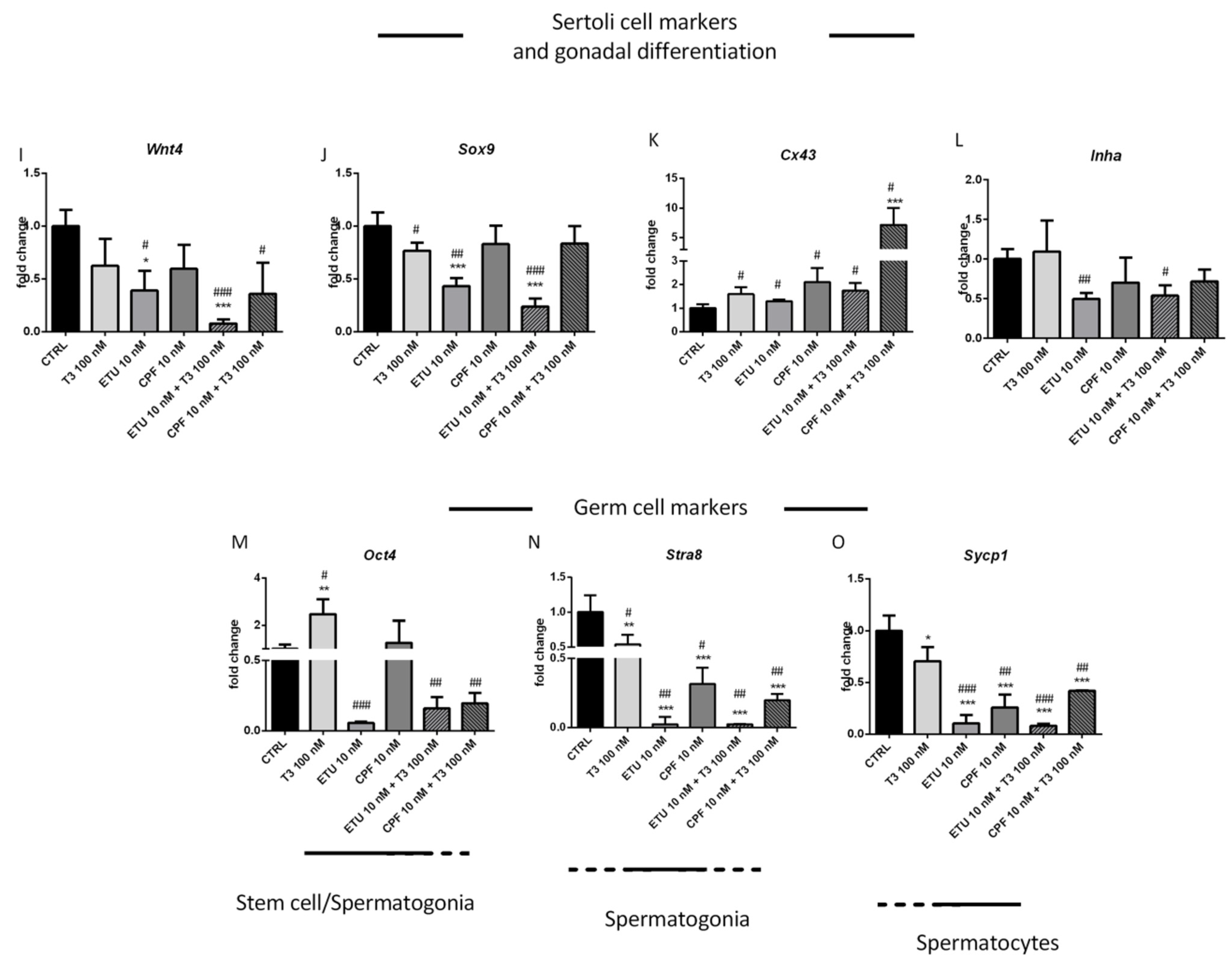 Cells 10 02187 g003b Cells 10 02187 g003b