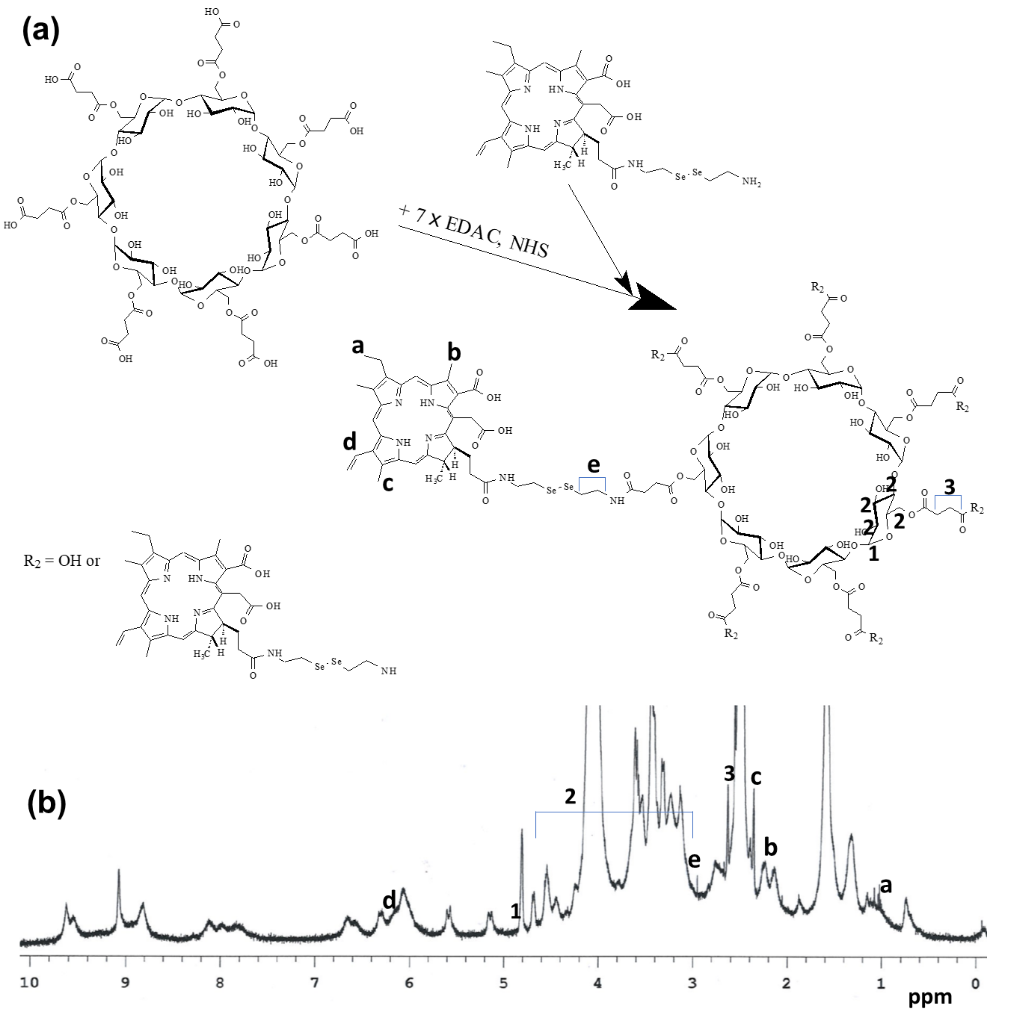 Cells 10 02190 g001 Cells 10 02190 g001