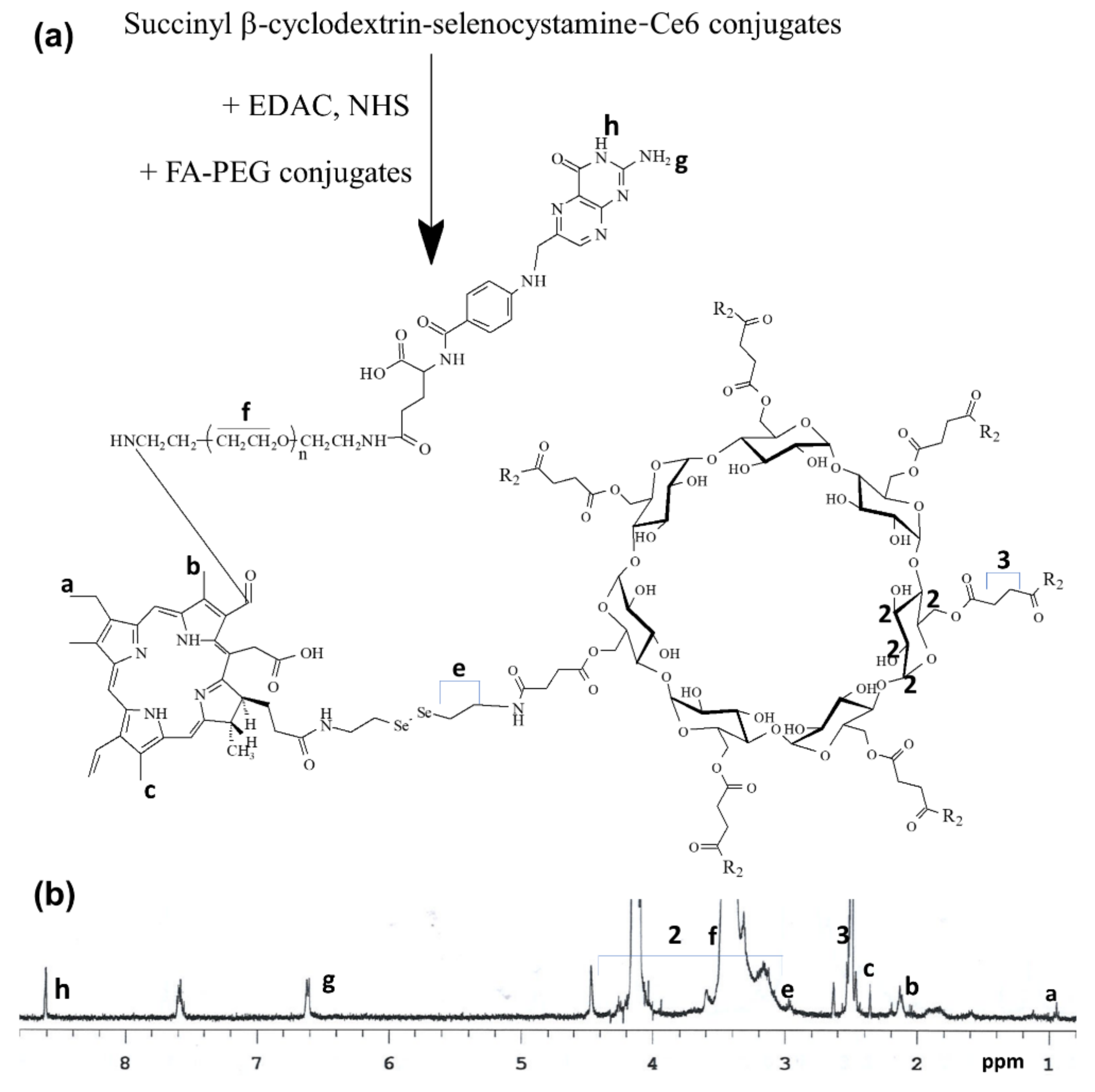 Cells 10 02190 g002 Cells 10 02190 g002