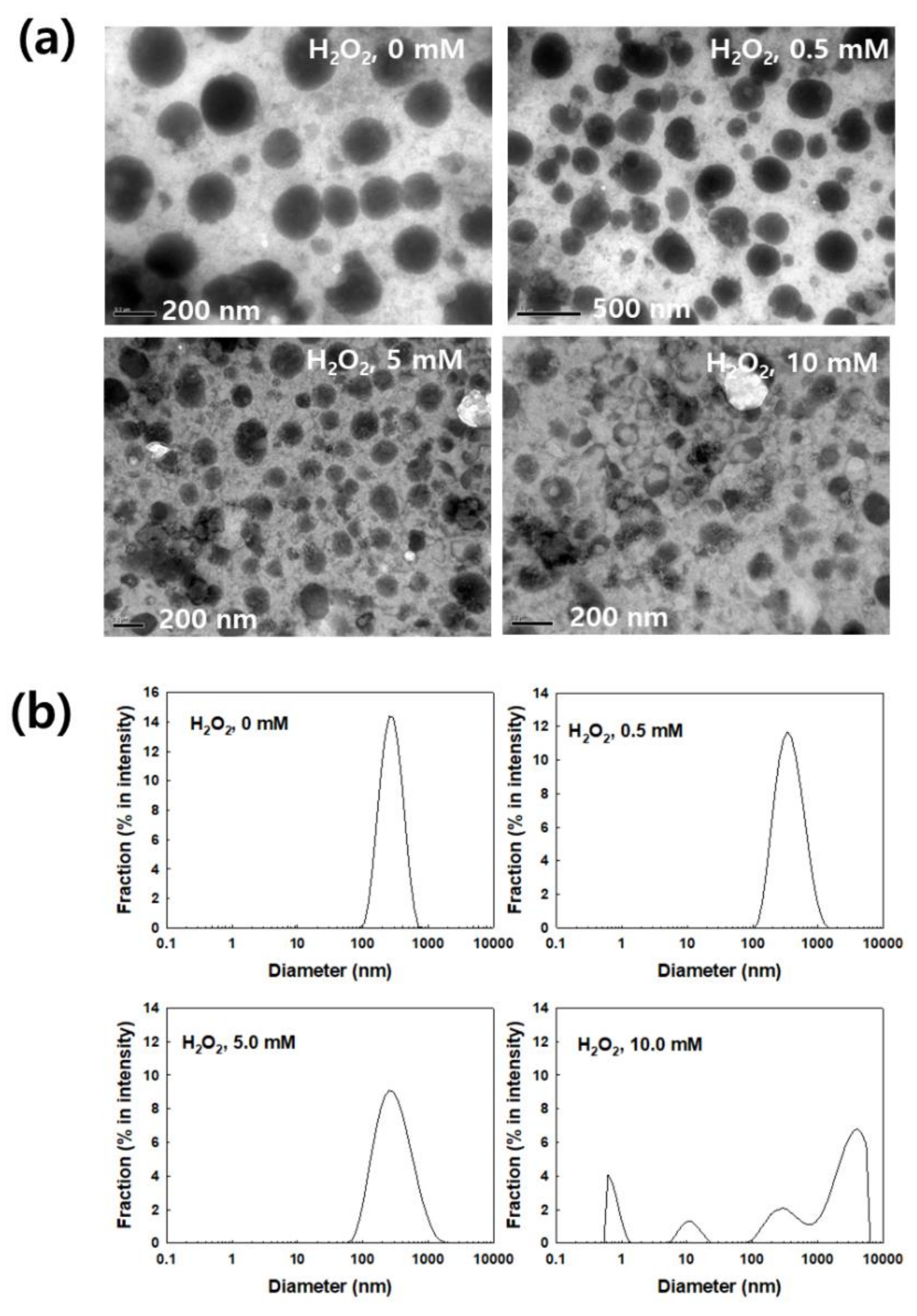 Cells 10 02190 g003 Cells 10 02190 g003