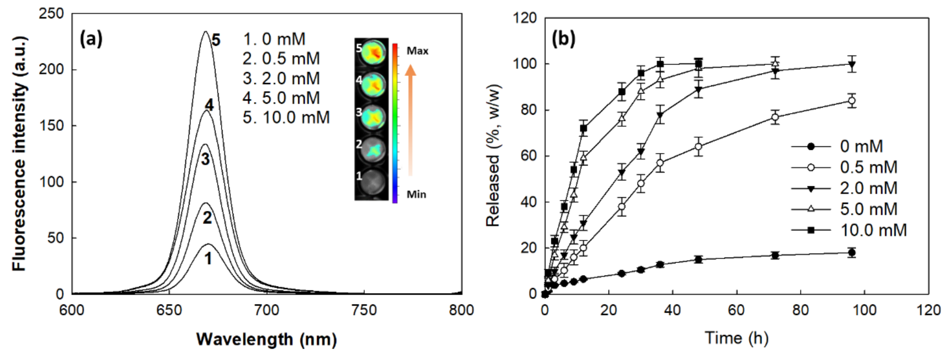 Cells 10 02190 g004 Cells 10 02190 g004