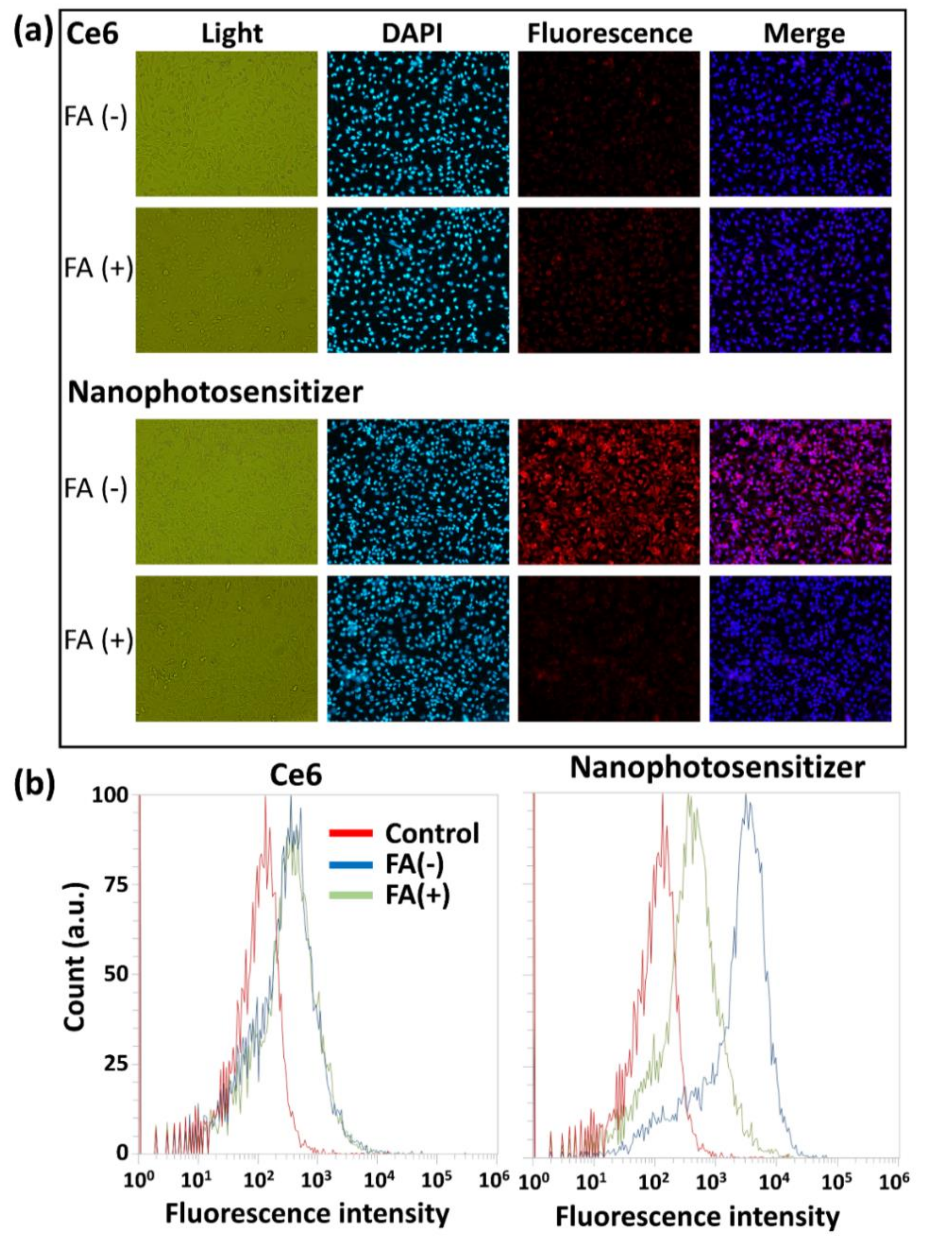 Cells 10 02190 g009 Cells 10 02190 g009