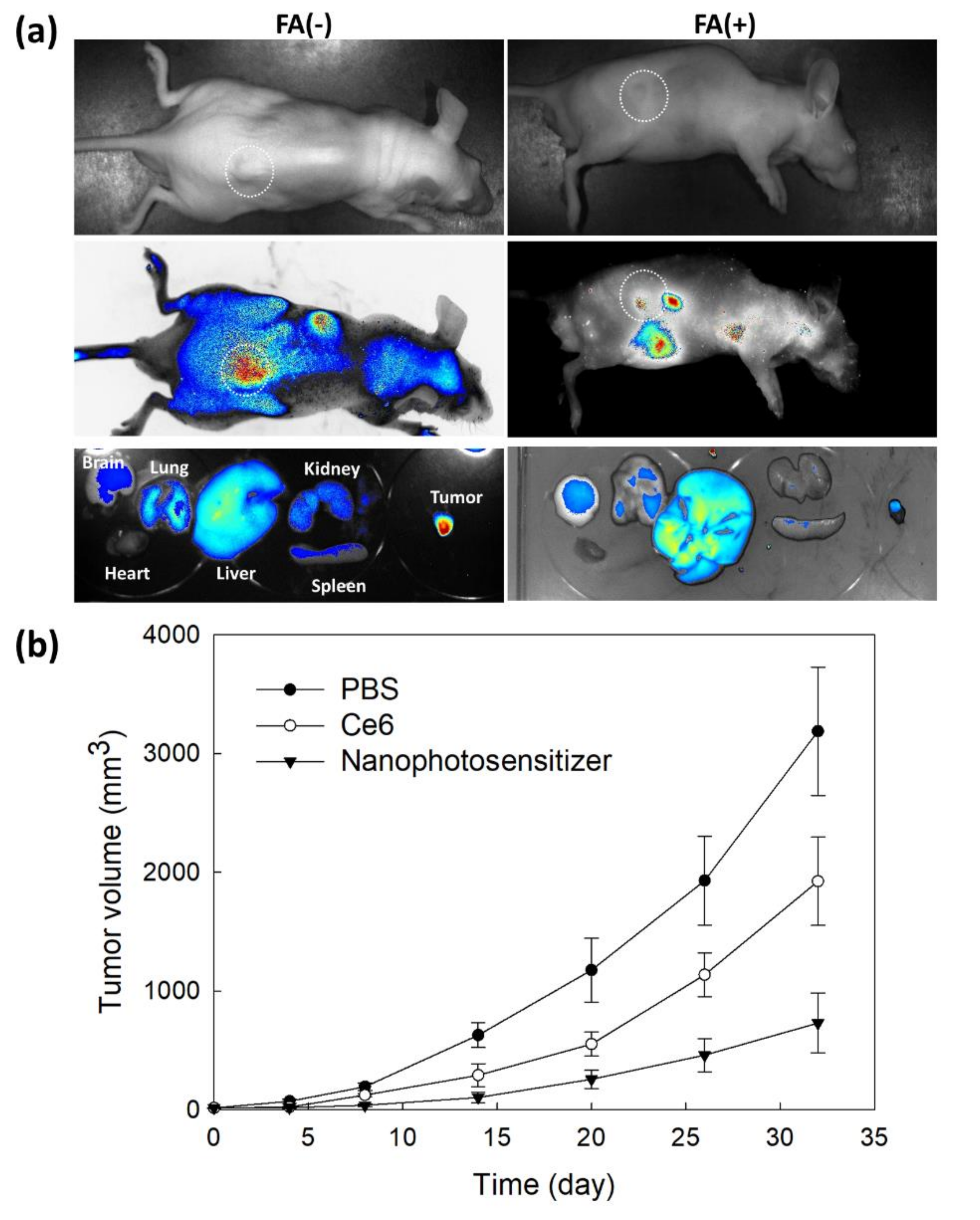 Cells 10 02190 g011 Cells 10 02190 g011