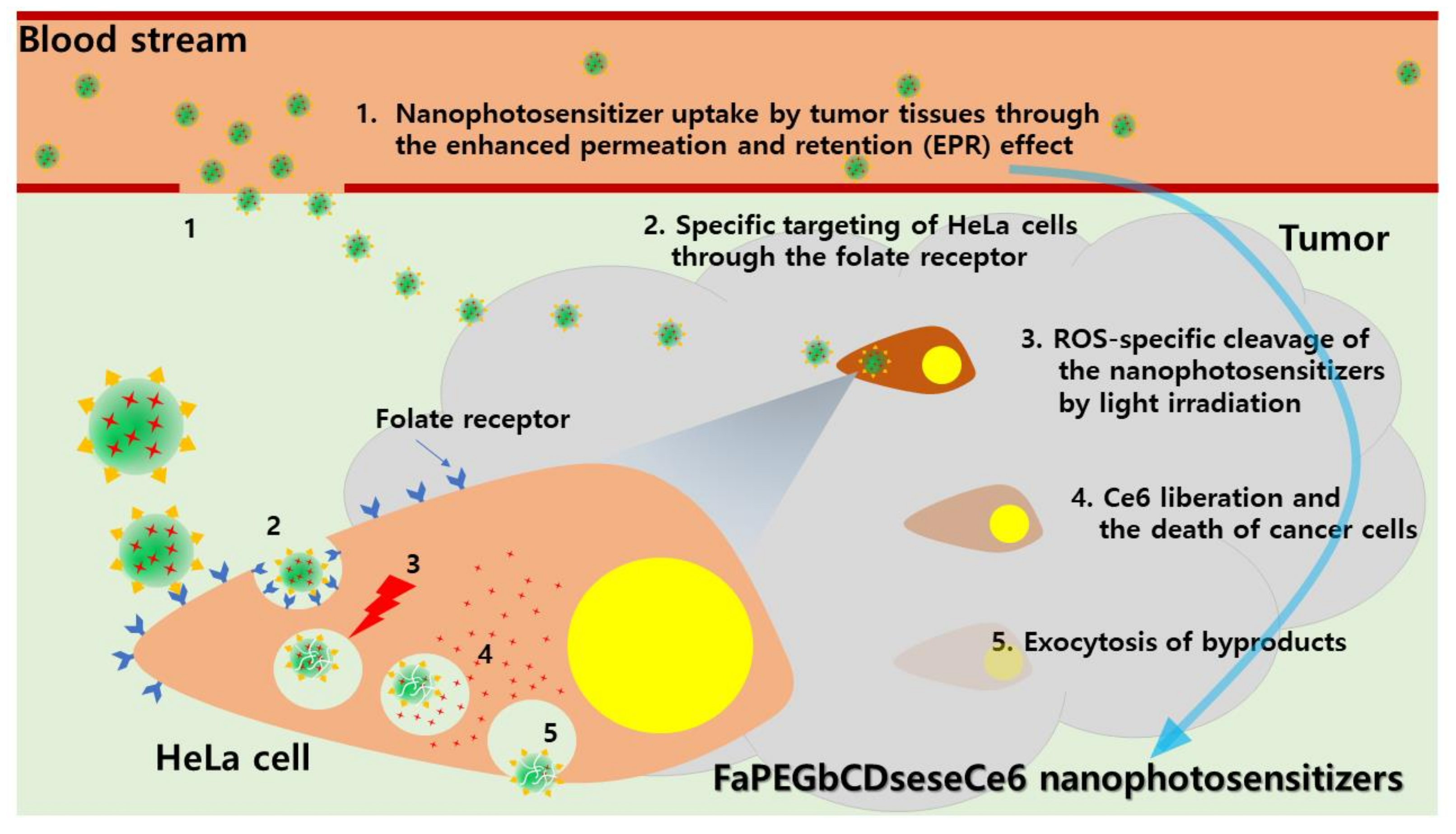 Cells 10 02190 g012 Cells 10 02190 g012