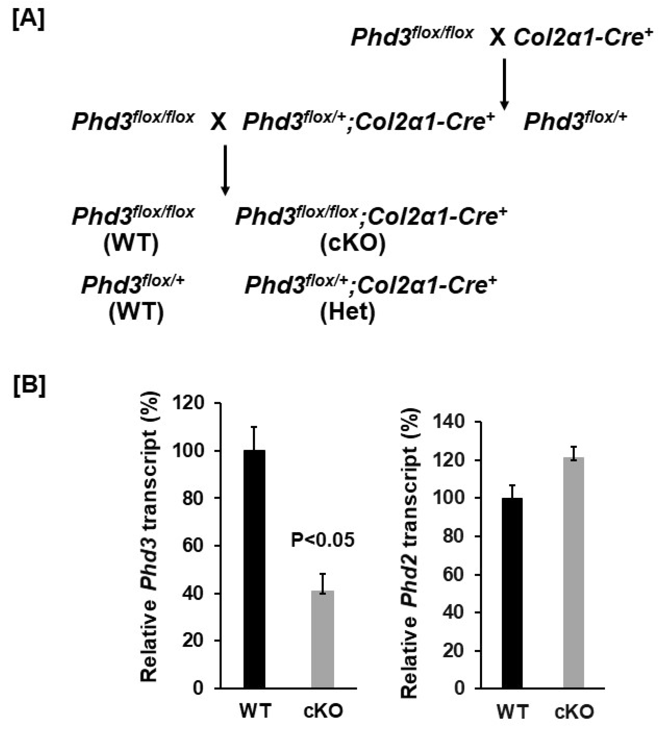 Cells 10 02200 g001 Cells 10 02200 g001