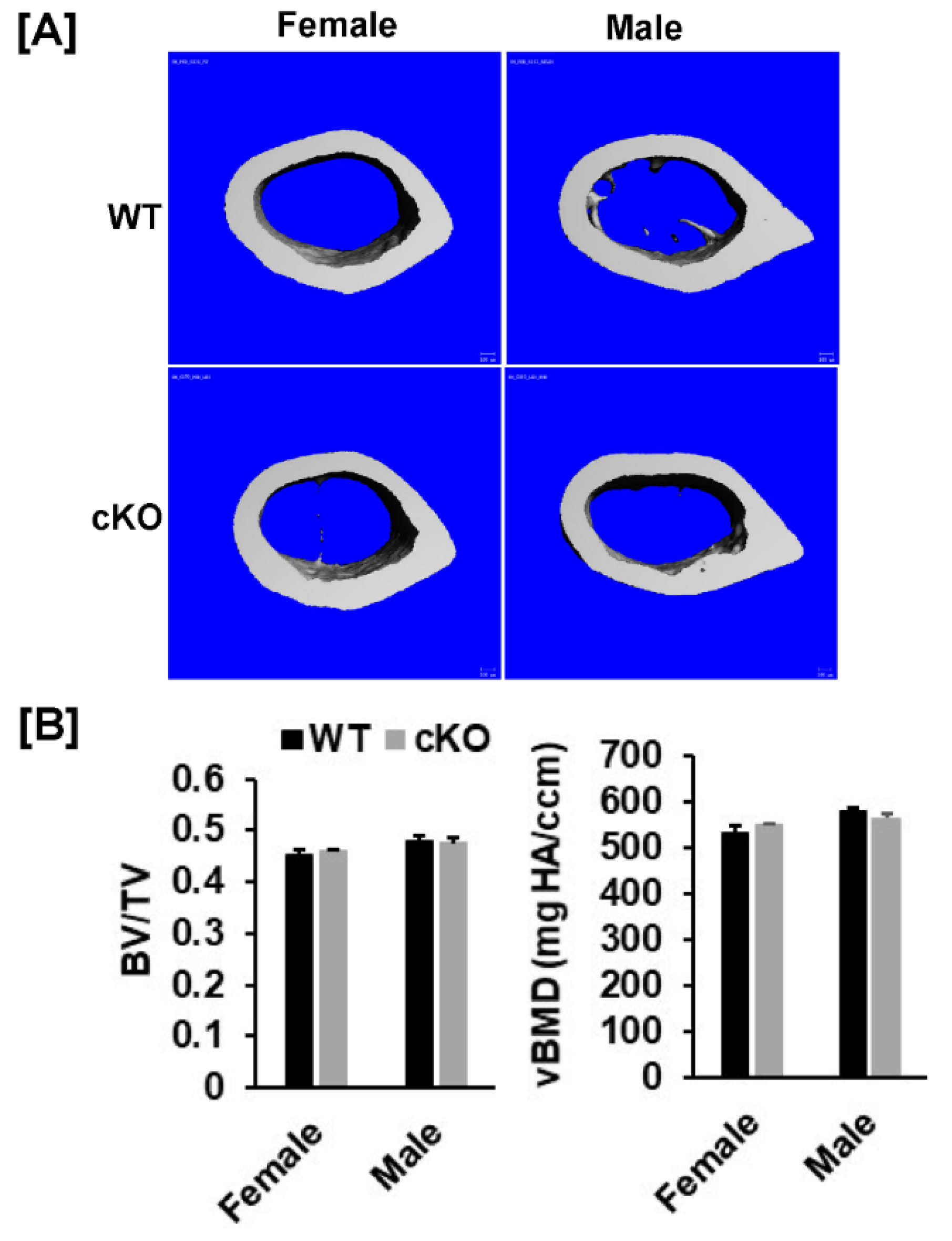 Cells 10 02200 g004 Cells 10 02200 g004