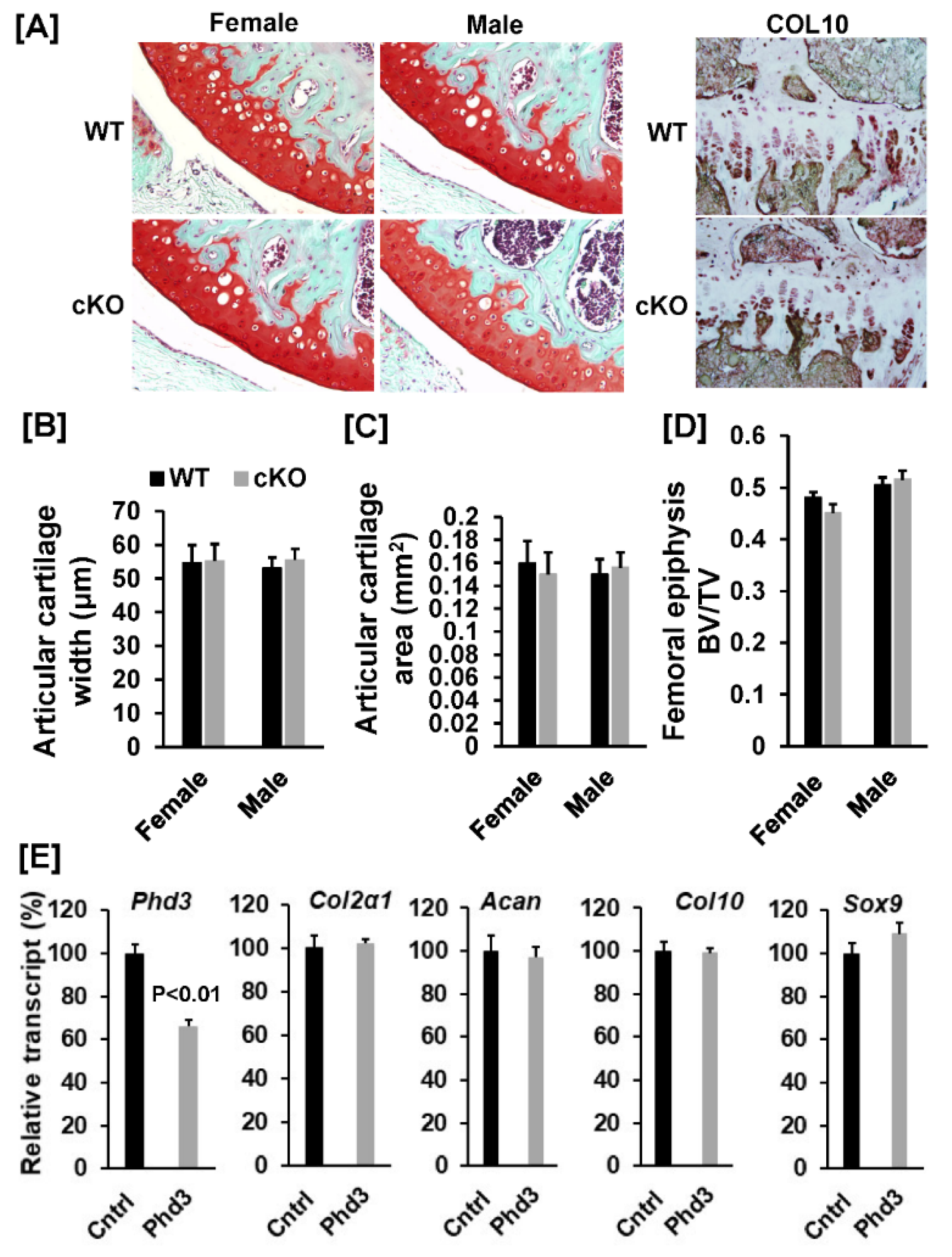 Cells 10 02200 g006 Cells 10 02200 g006