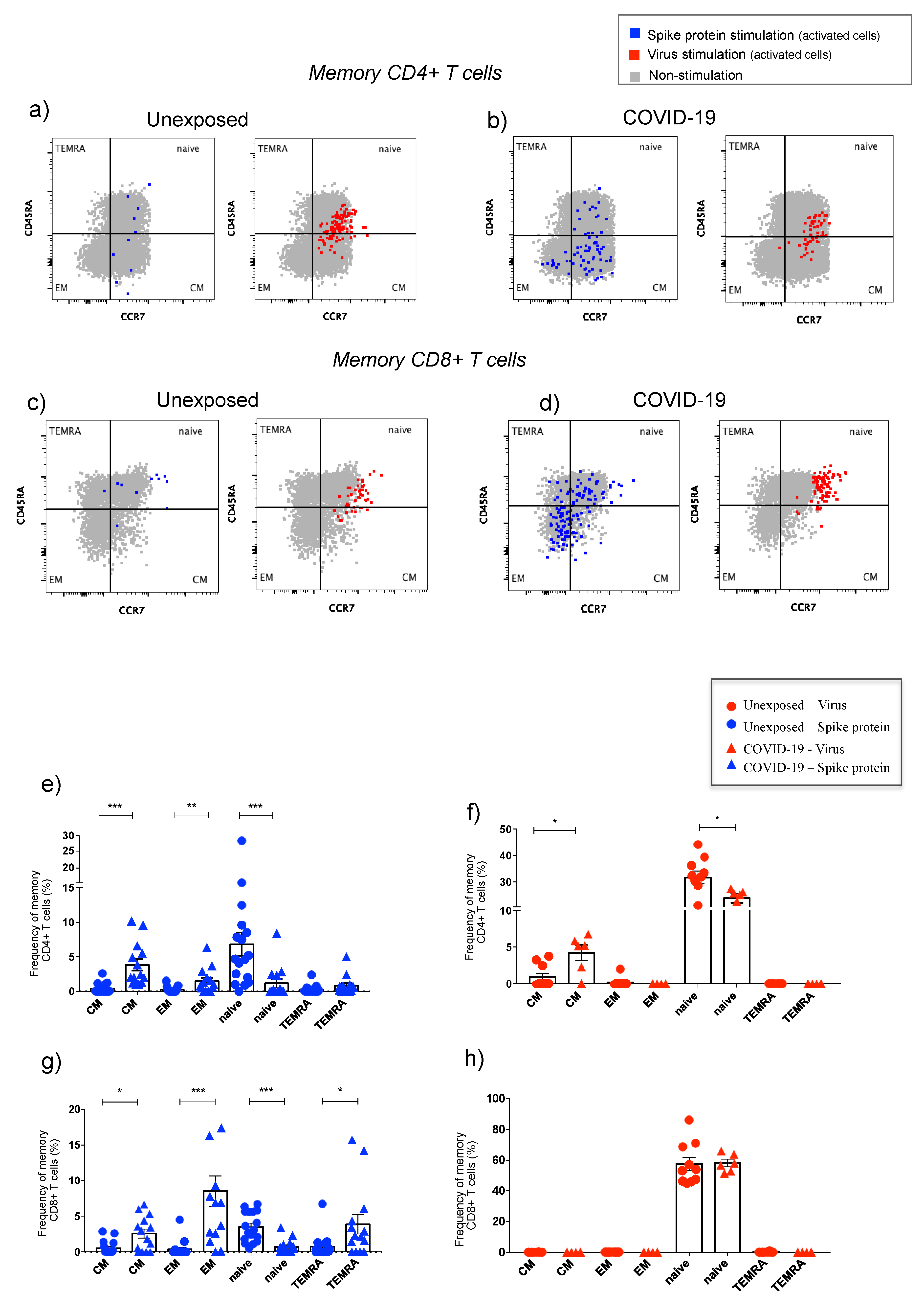 Cells 10 02206 g005 550