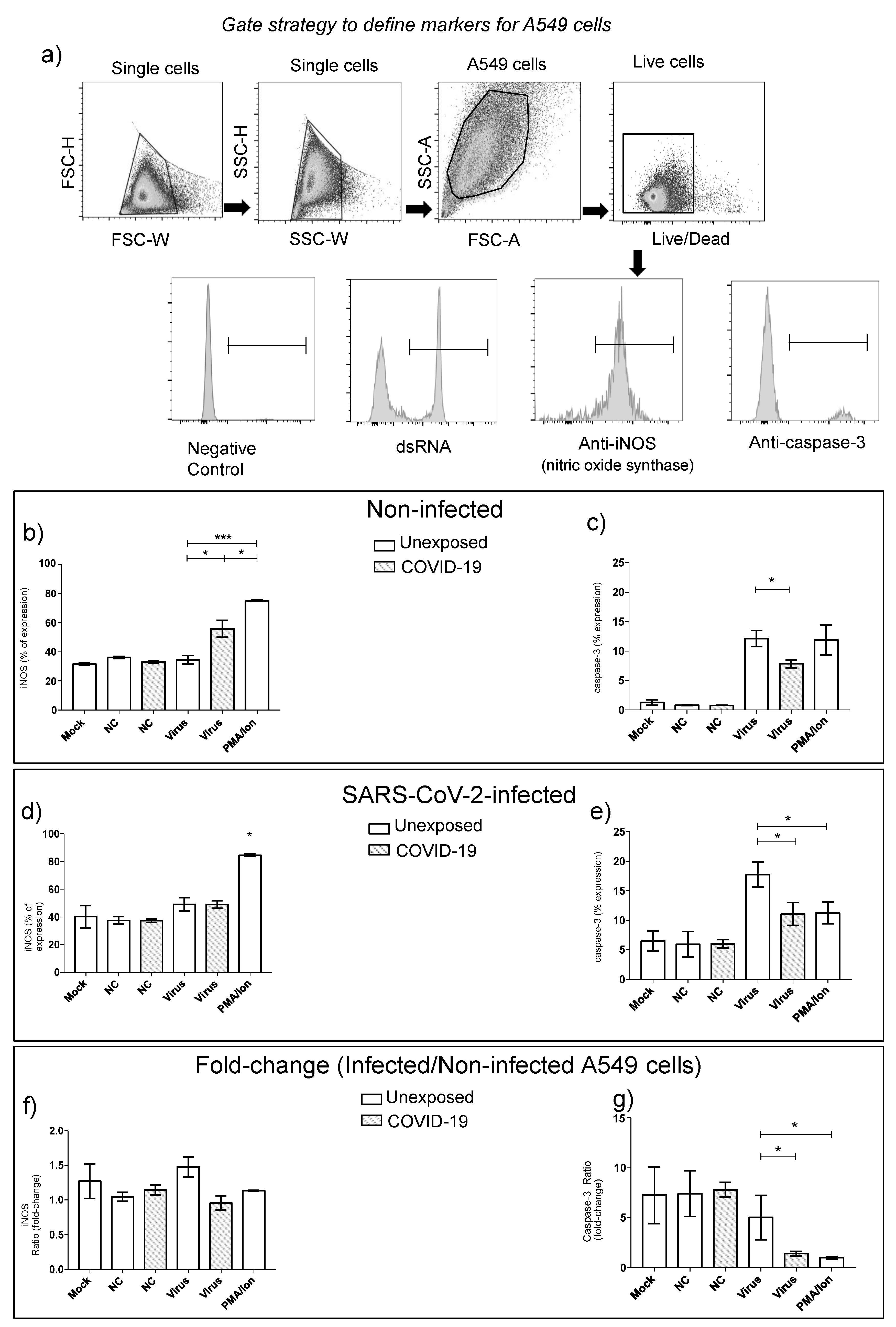 Cells 10 02206 g007 550