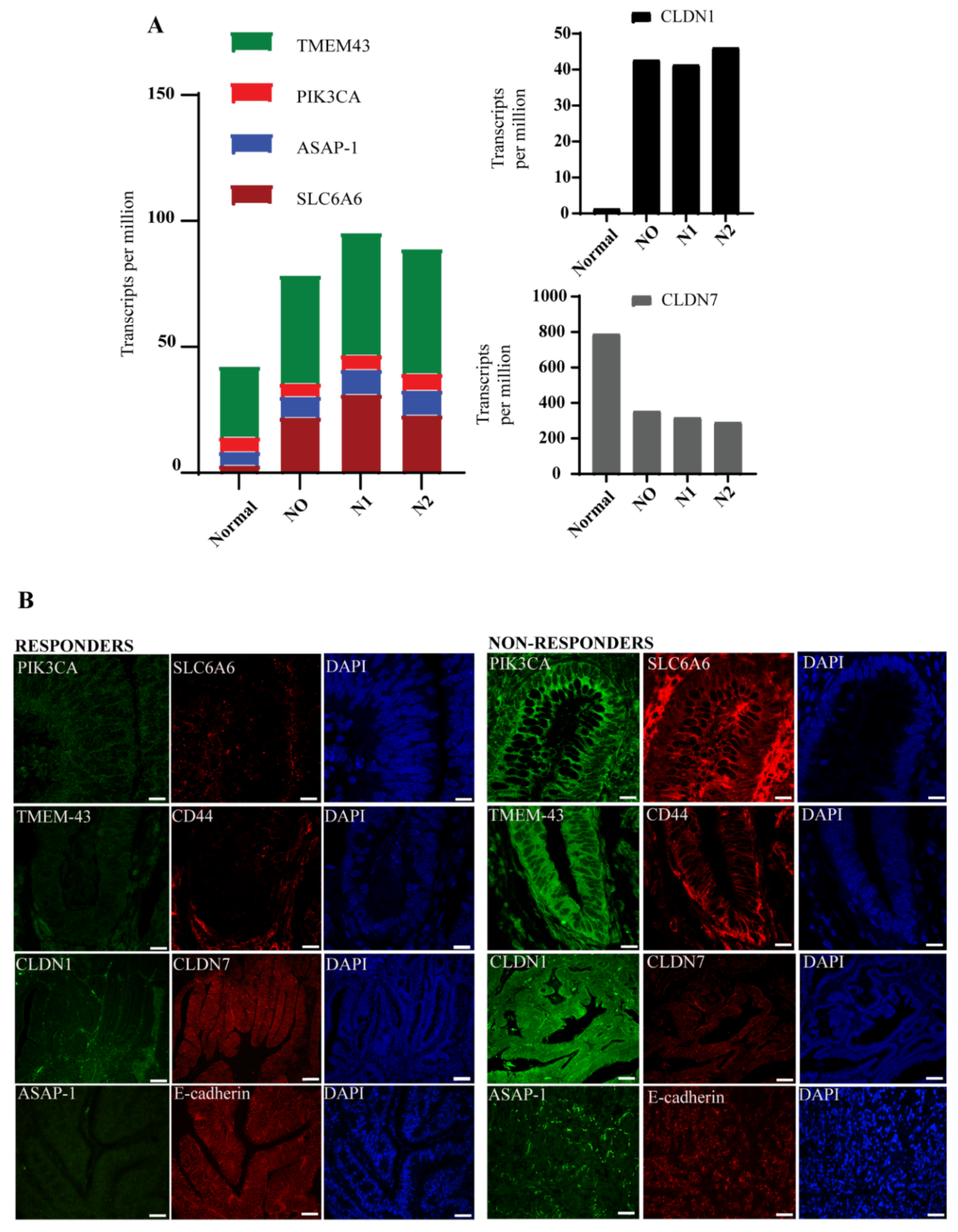 Cells 10 02211 g002 Cells 10 02211 g002