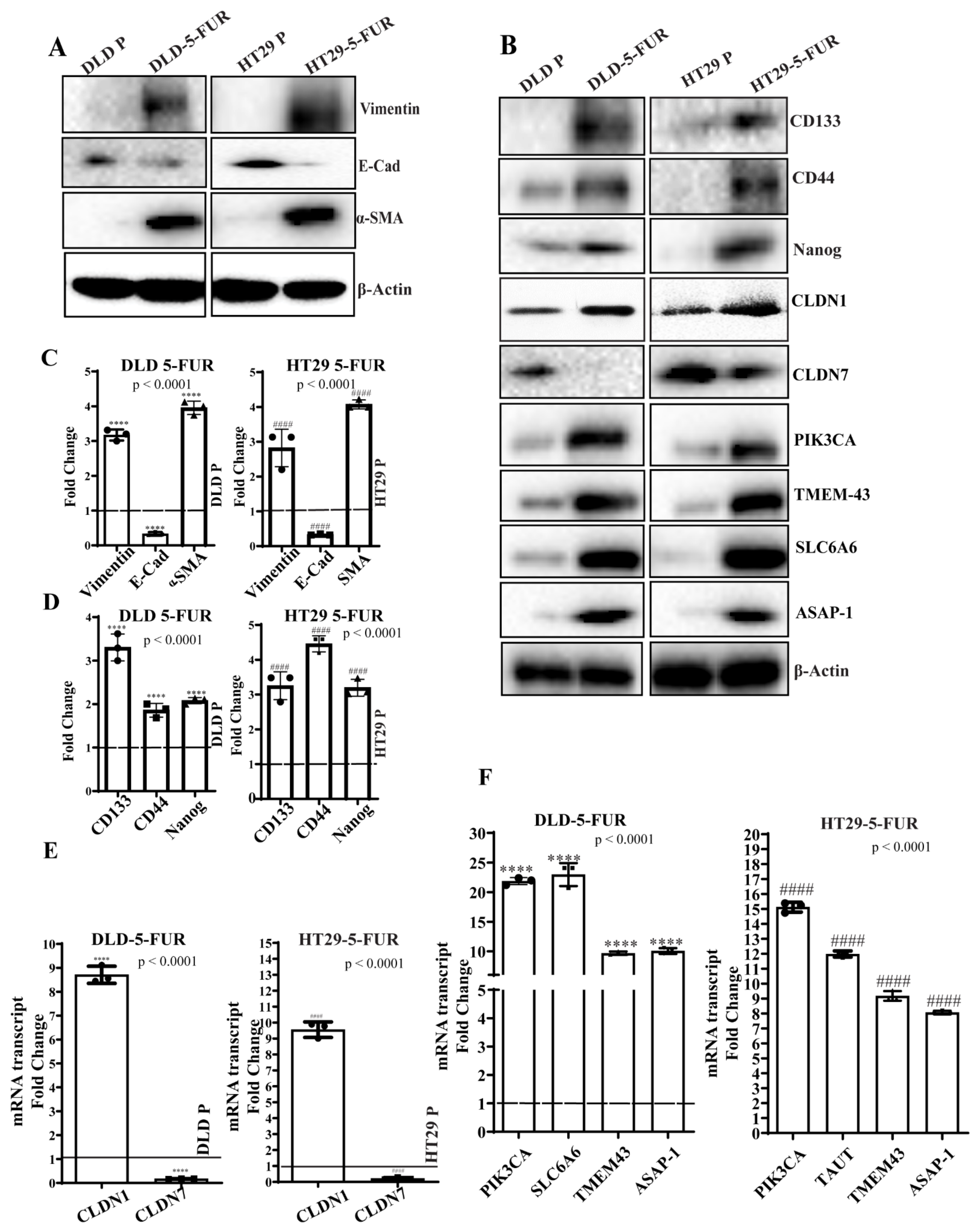 Cells 10 02211 g006 Cells 10 02211 g006