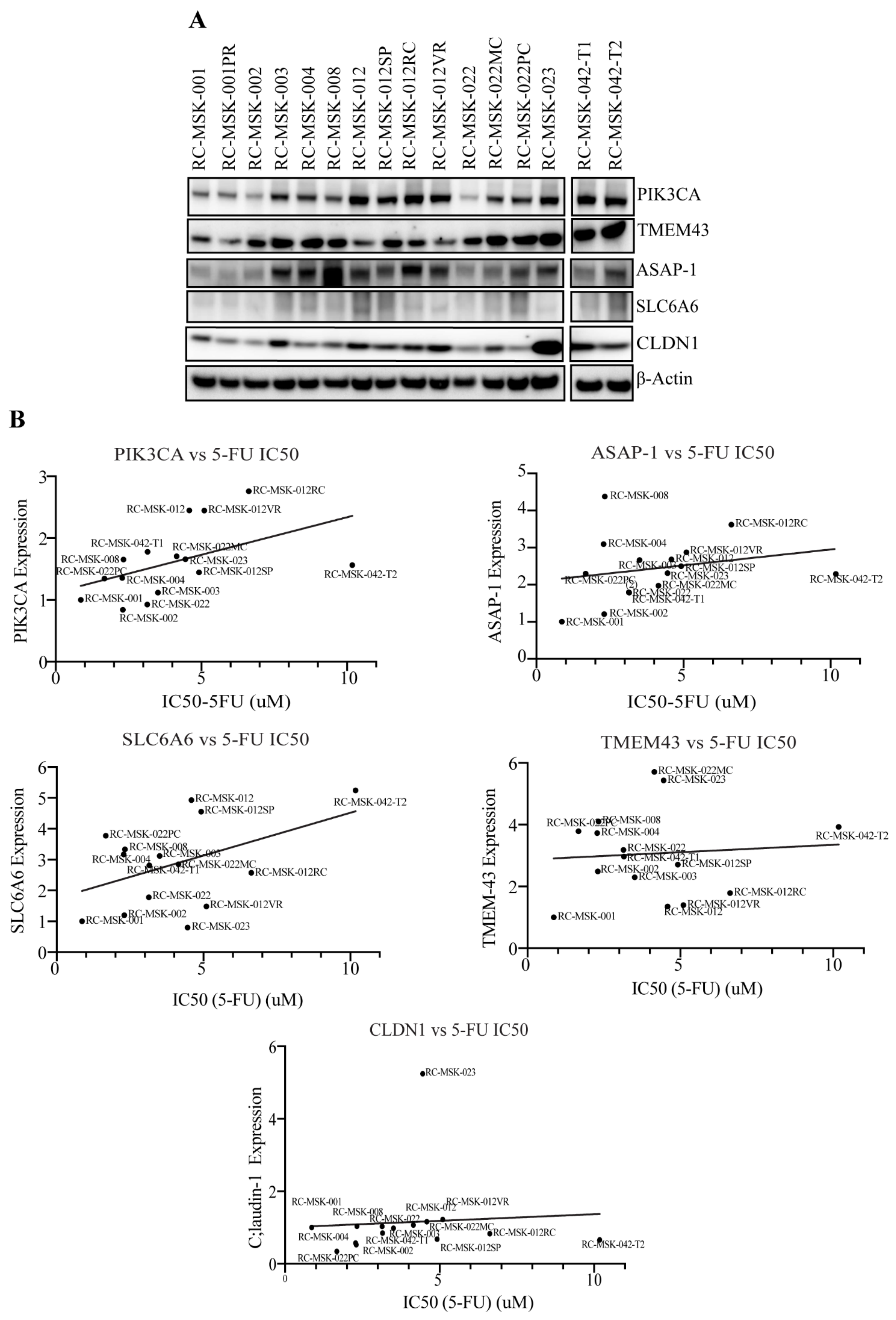 Cells 10 02211 g008 Cells 10 02211 g008