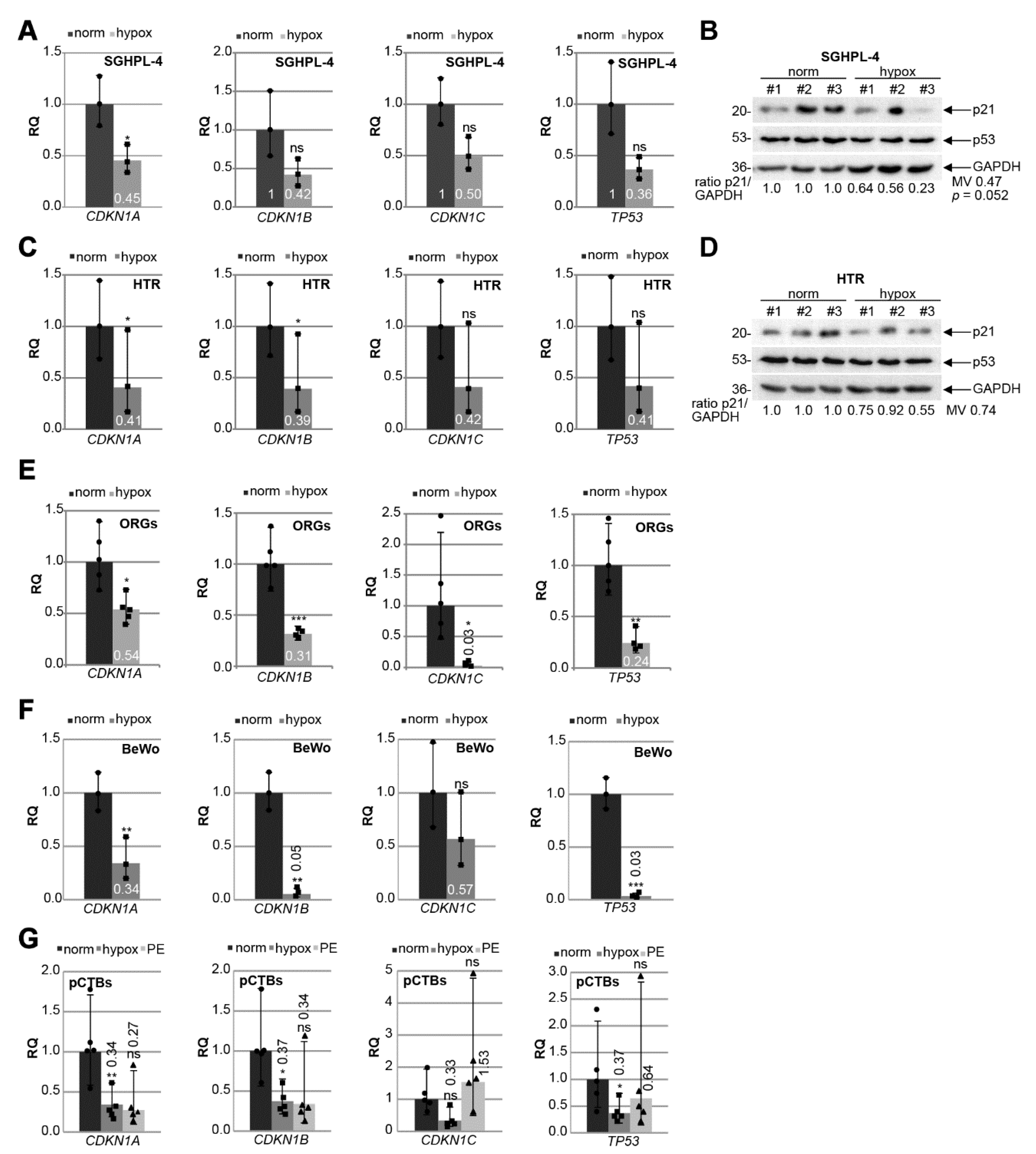 Cells 10 02214 g005 Cells 10 02214 g005
