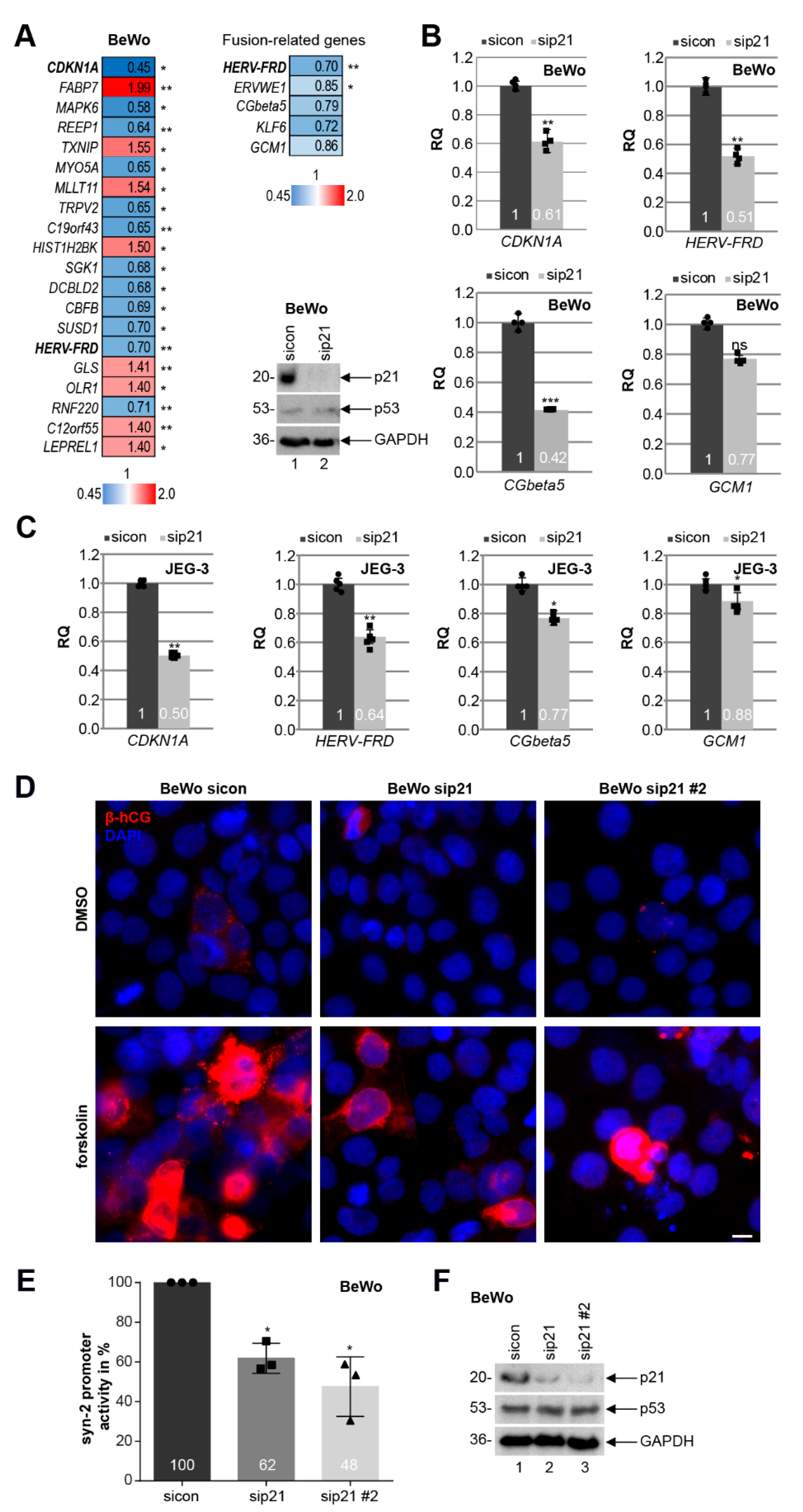Cells 10 02214 g006 Cells 10 02214 g006