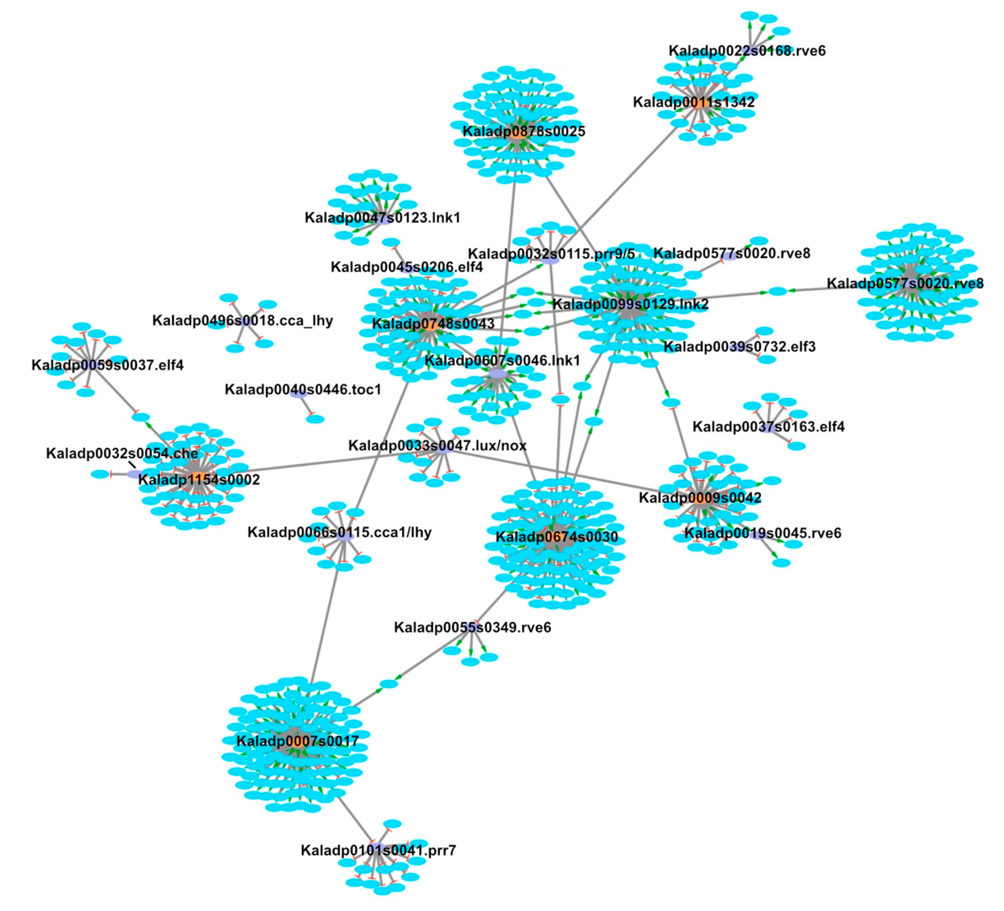 Cells 10 02217 g003 550
