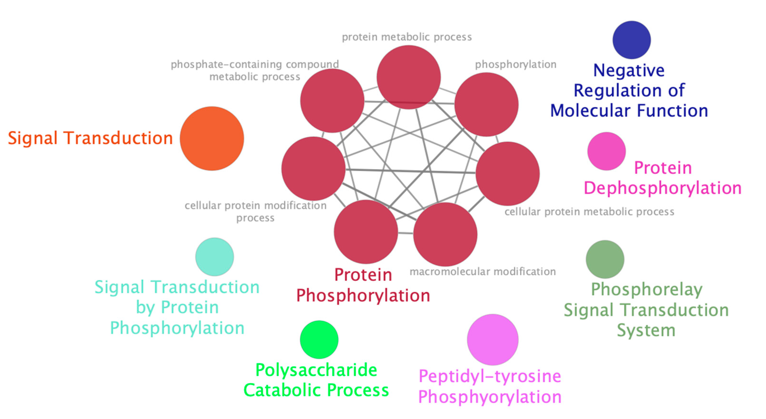 Cells 10 02217 g006 550