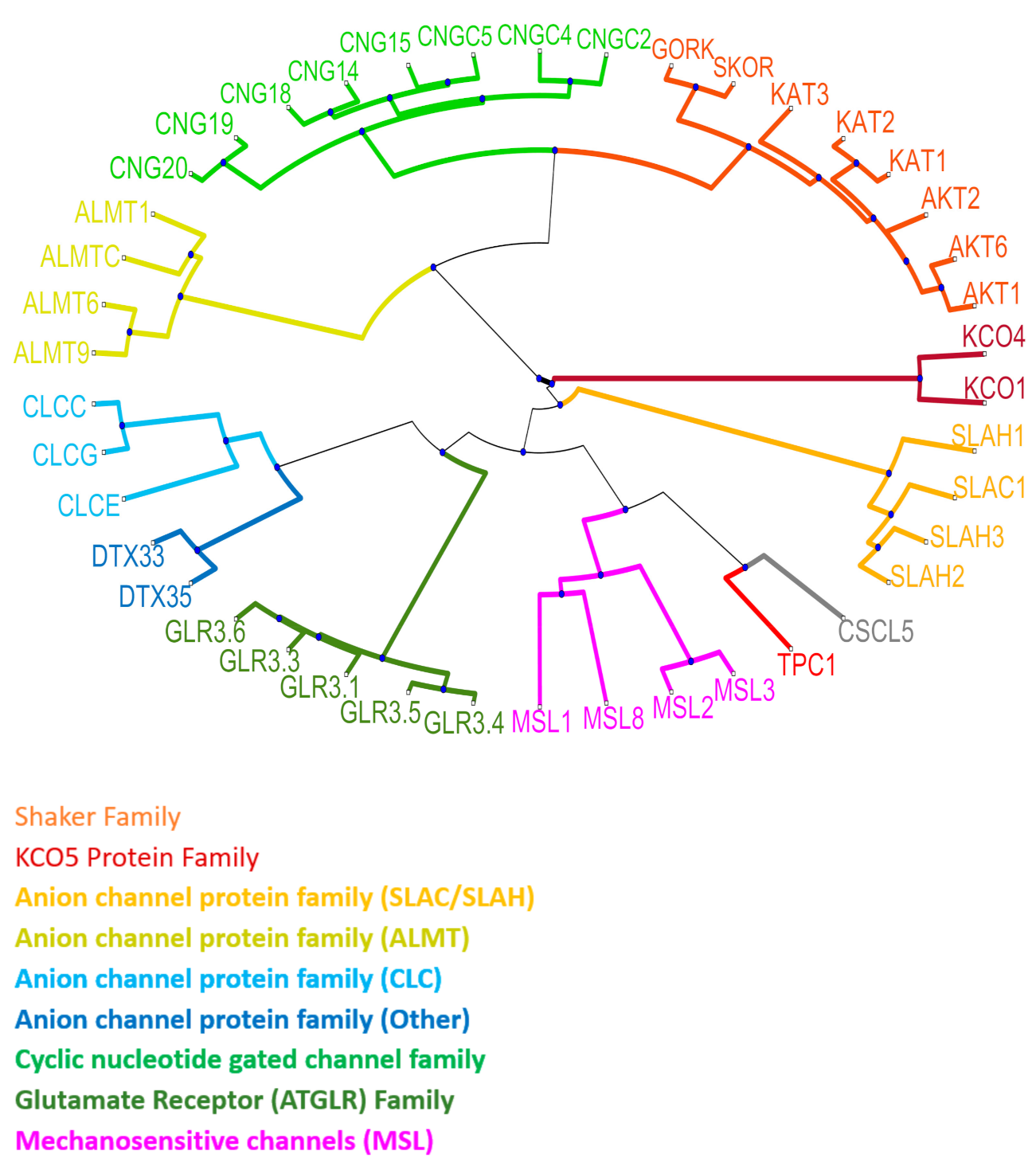 Cells 10 02219 g002 Cells 10 02219 g002