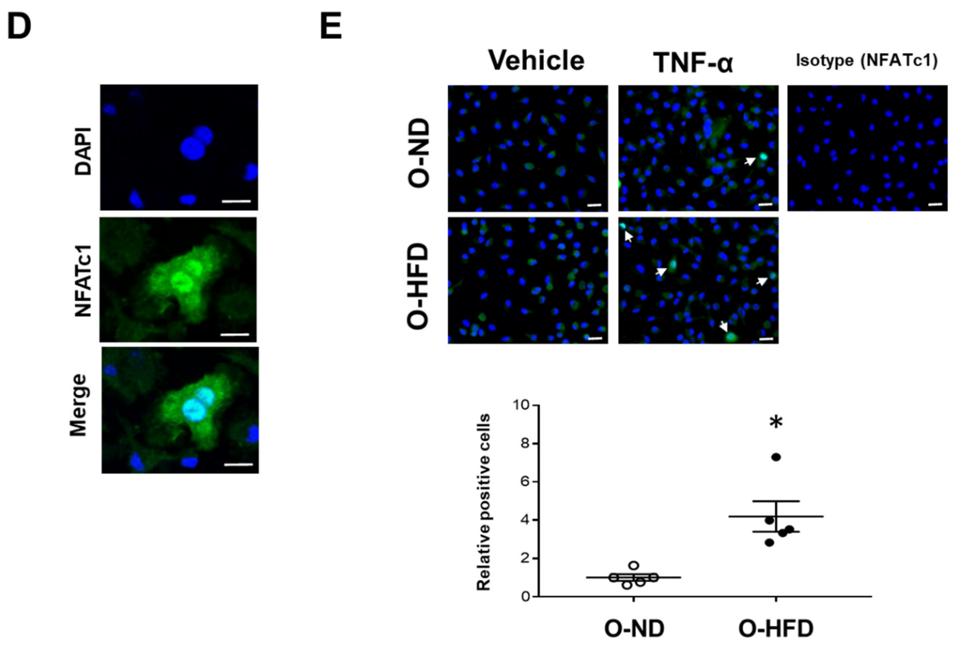 Cells 10 02224 g006b 550