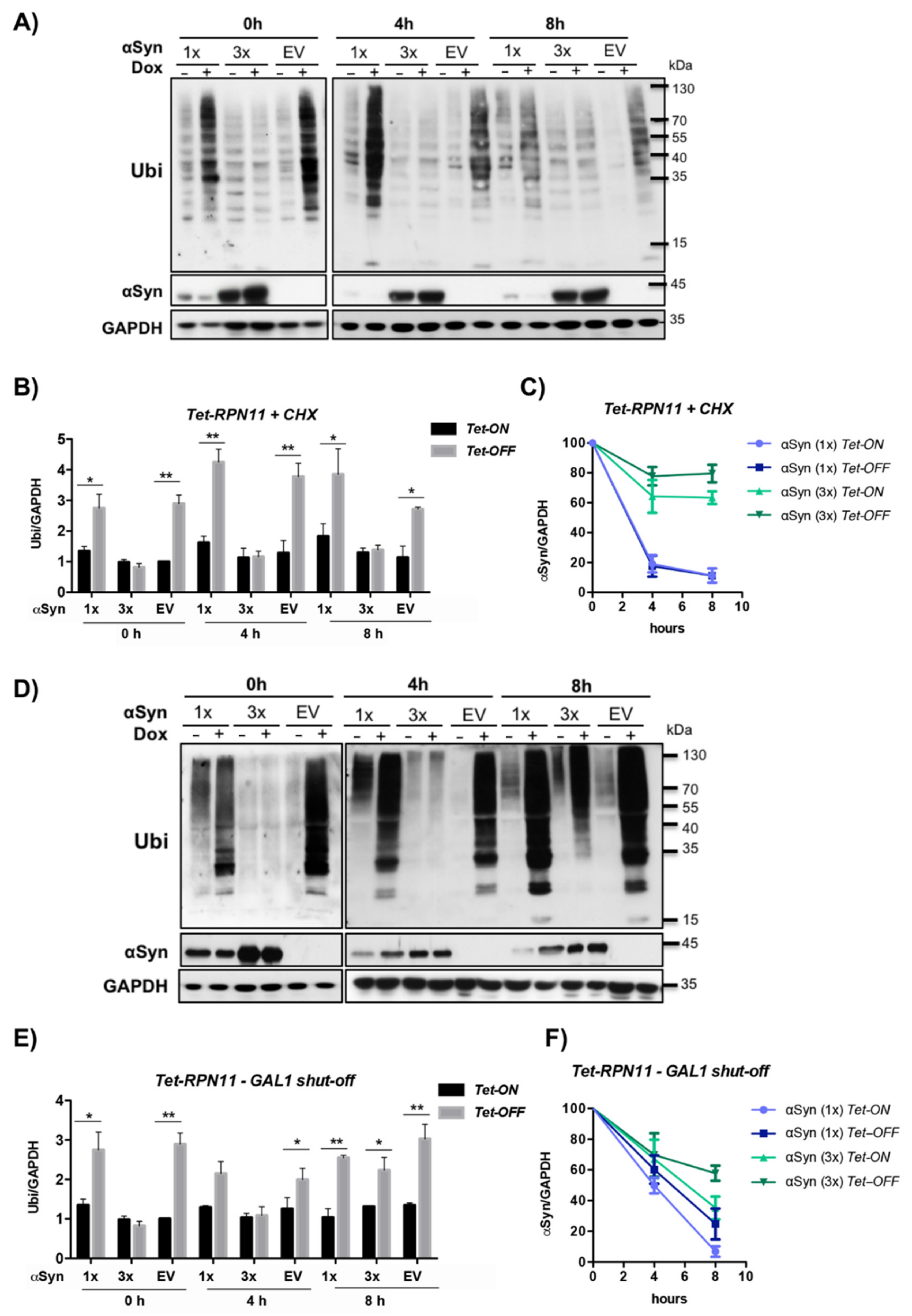 Cells 10 02229 g008 Cells 10 02229 g008