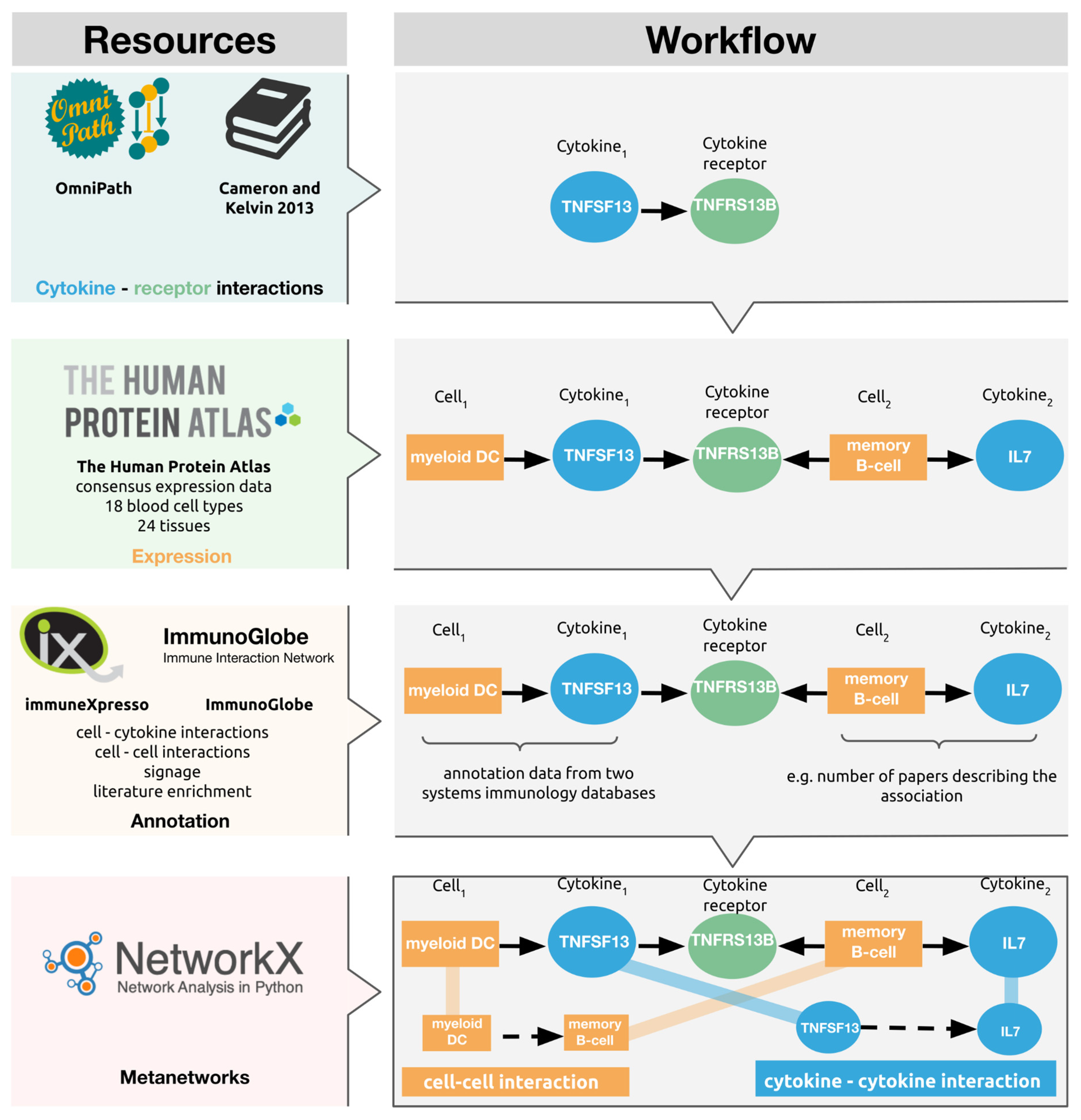 Cells 10 02242 g001 550