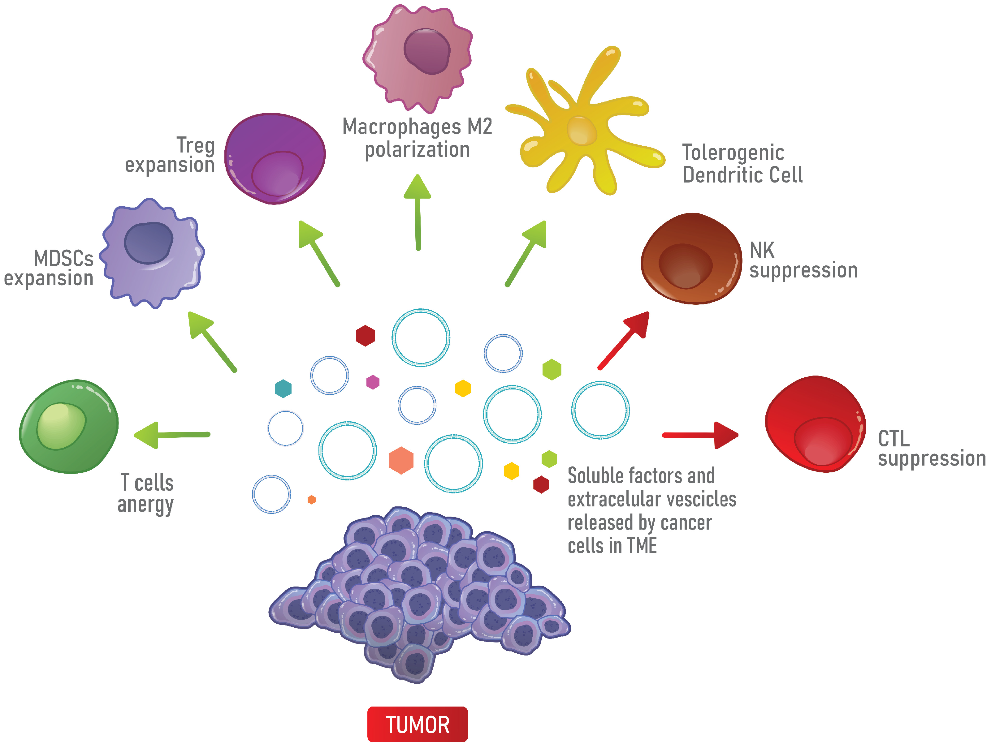How I Got Started With cure steroide deca durabolin